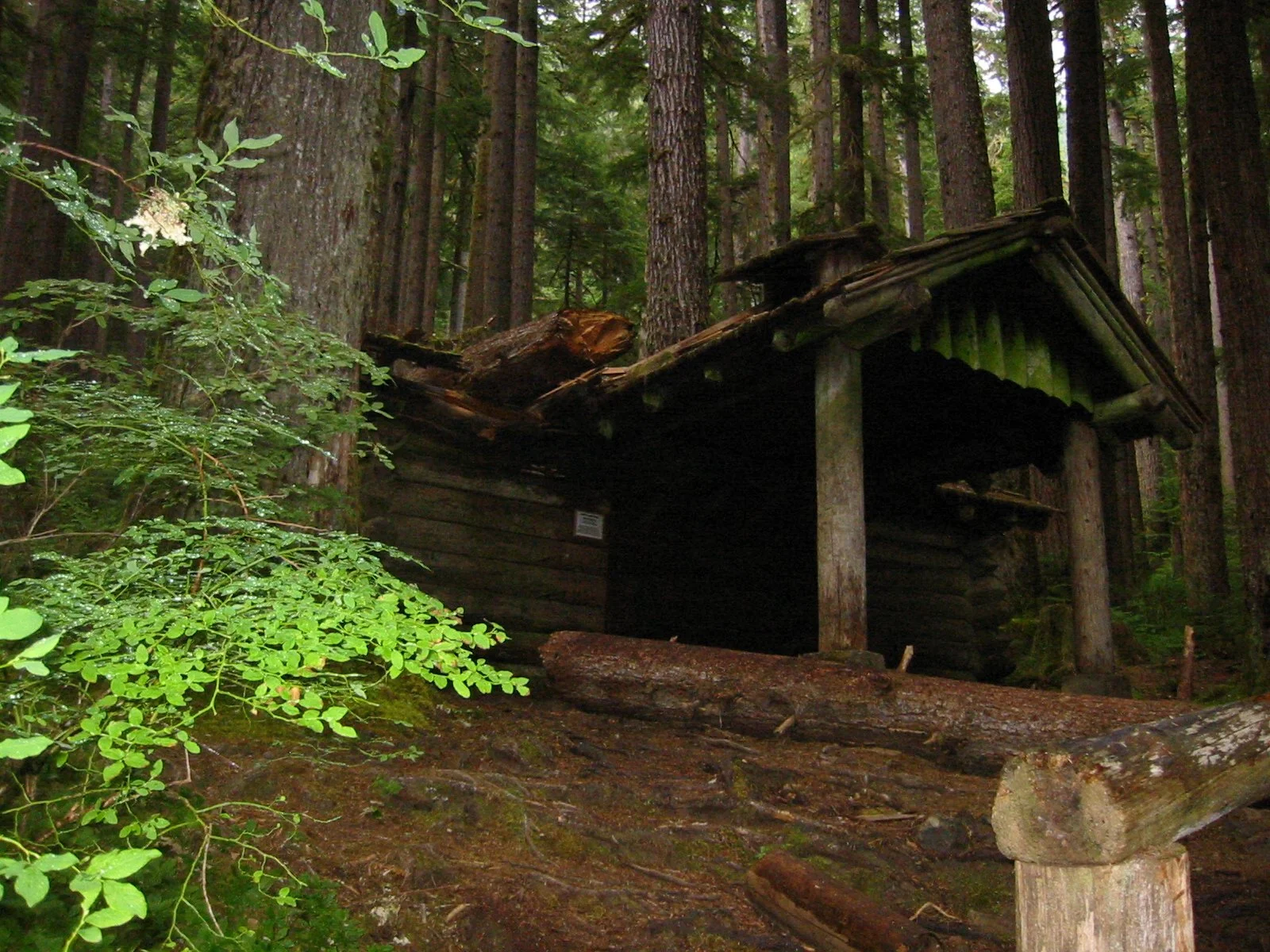 2003-8-3 WASHINGTON VISIT WITH THE ROBINSONS (85).JPG