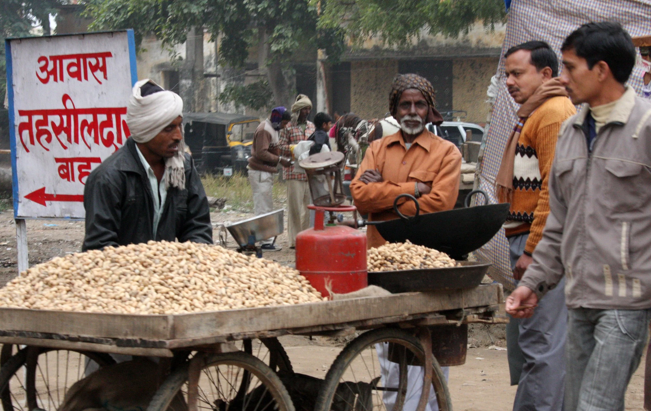 CHAMBAL RIVER SANCTUARY INDIA (37).JPG
