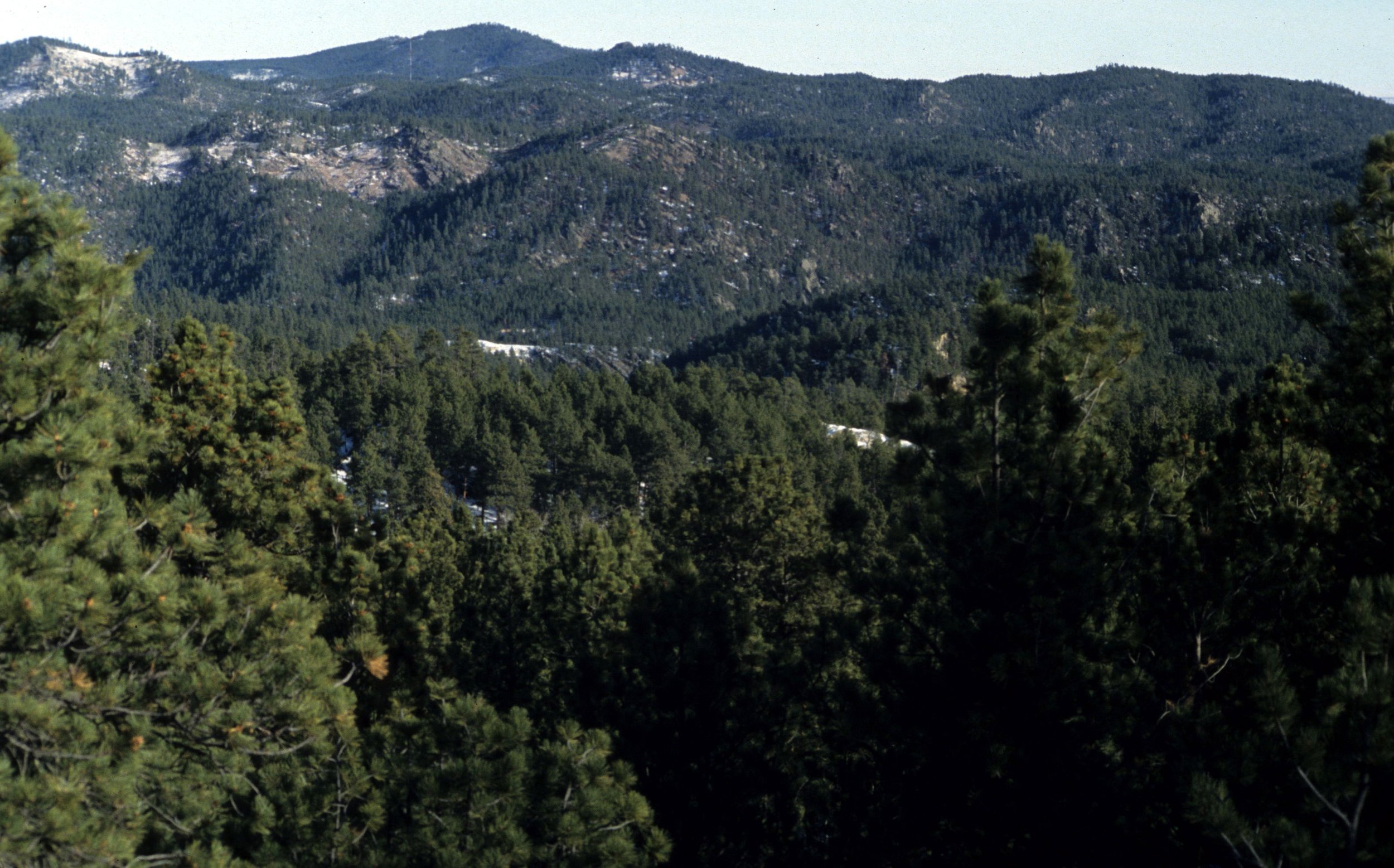 GREAT PLAINS - MOUNT RUSHMORE SOUTH DAKOTA B (2).jpg