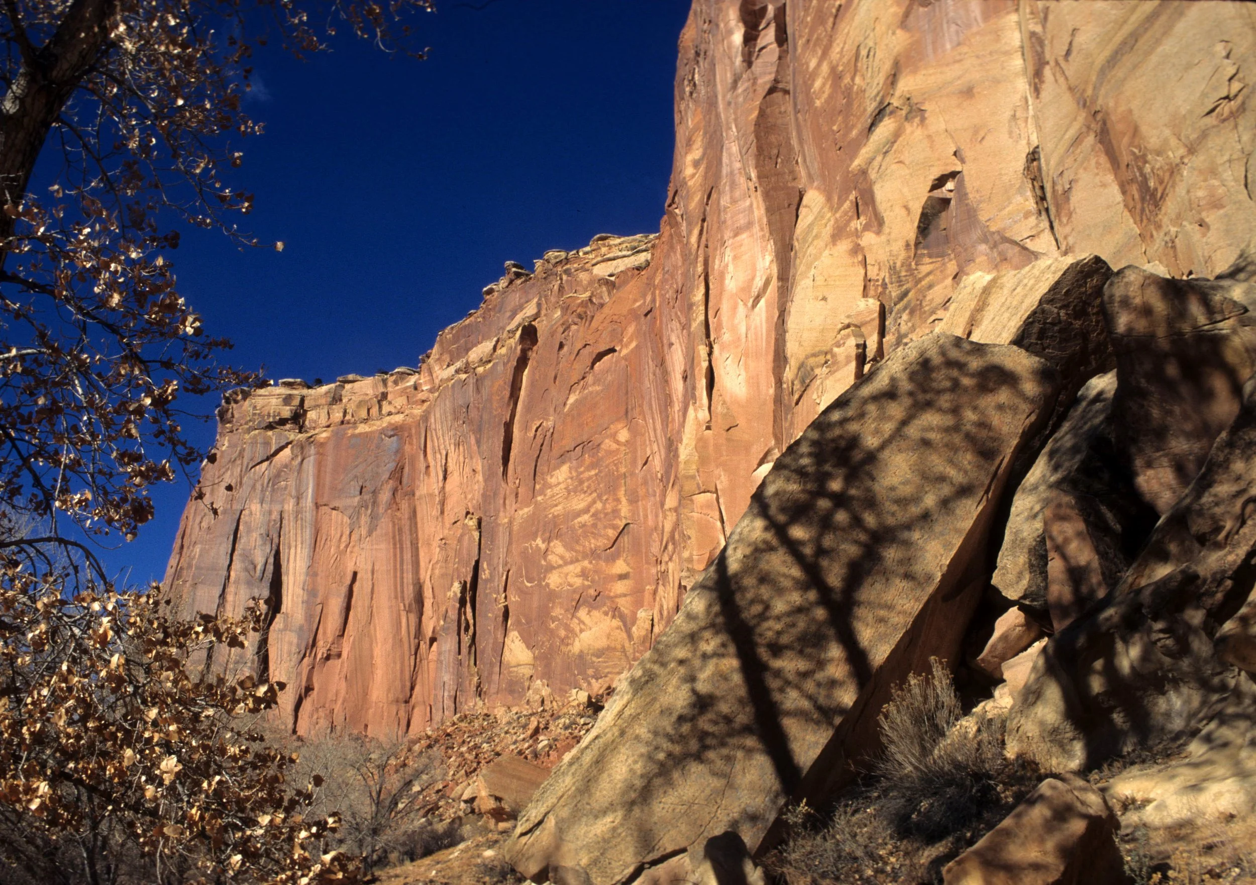 UTAH - CAPITOL REEF NP C.jpg