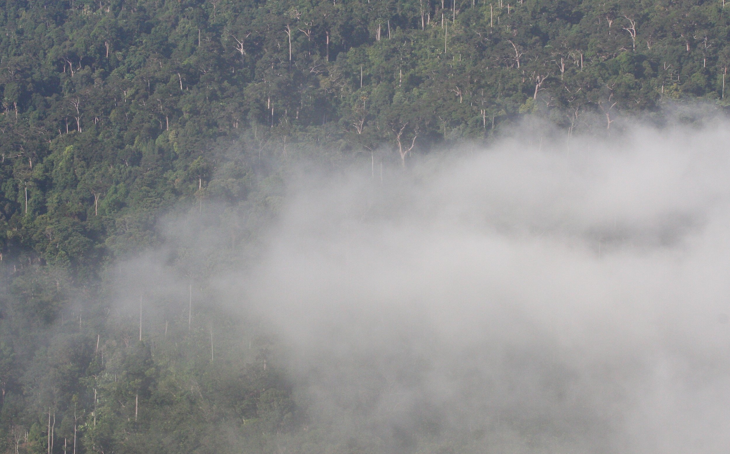 KRUNG CHIN NP - THALE MOG VIEW POINT THAILAND (7).JPG