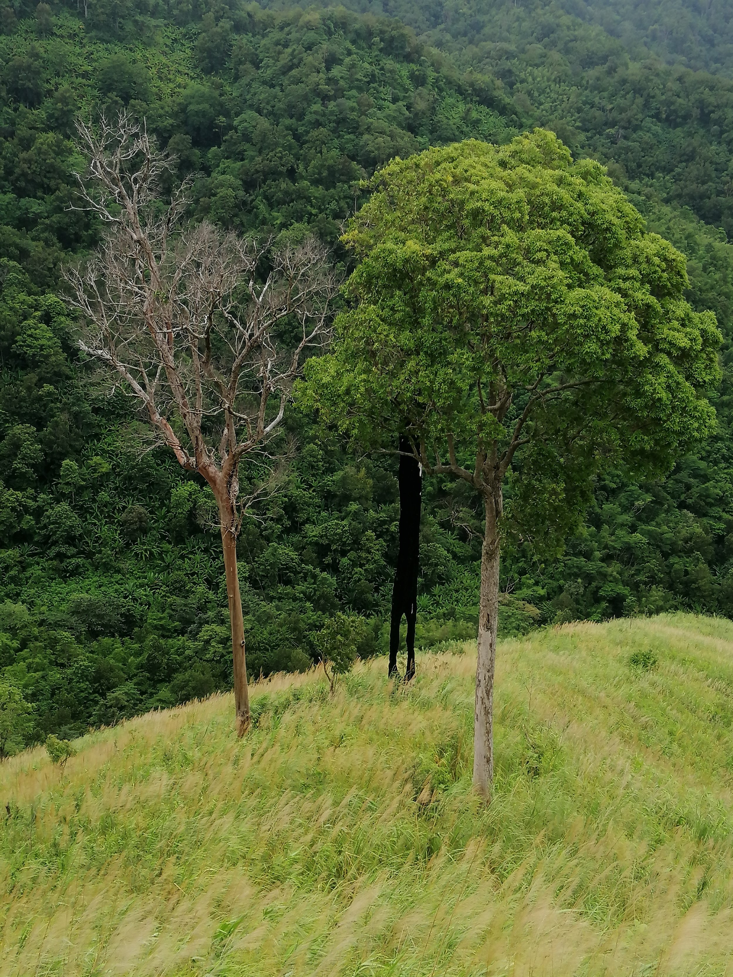 2021 Chong Yen and Surrounding Countryside (44).jpg