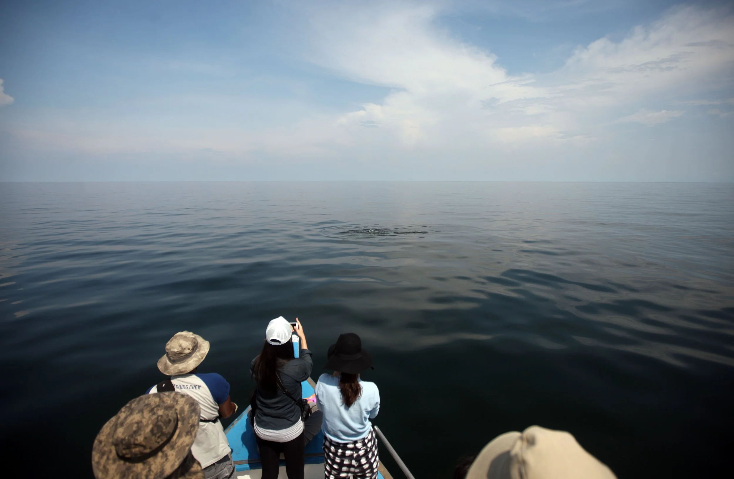 2014 Amphawa Trip to See Whales from Baan Taboon (59).JPG