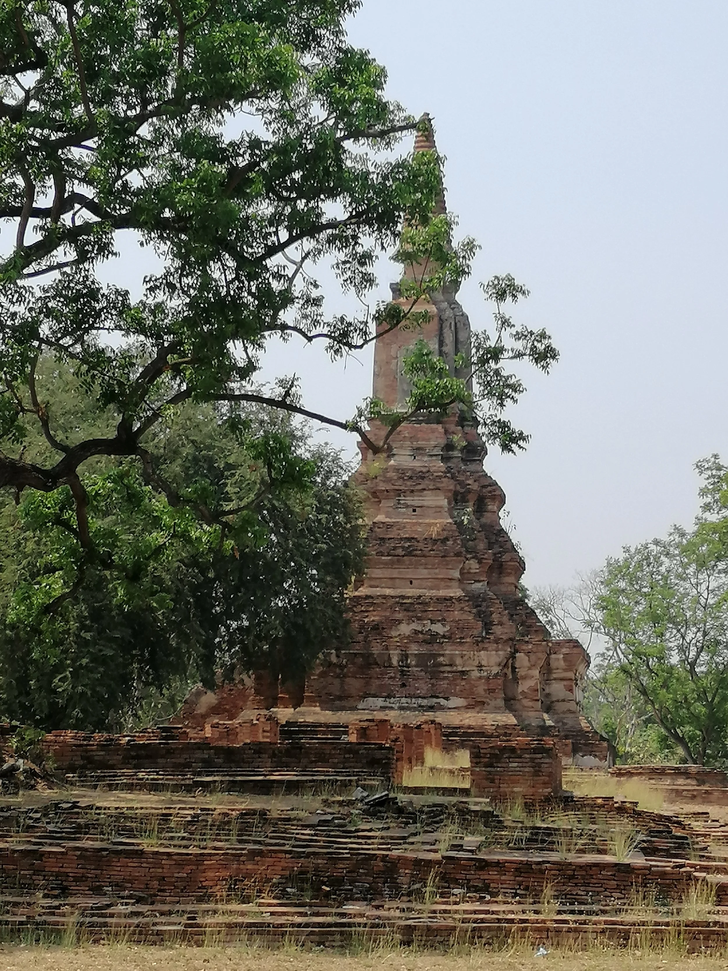 2021 Ayutthaya Trip with Cokie to see Bats too (13).jpg