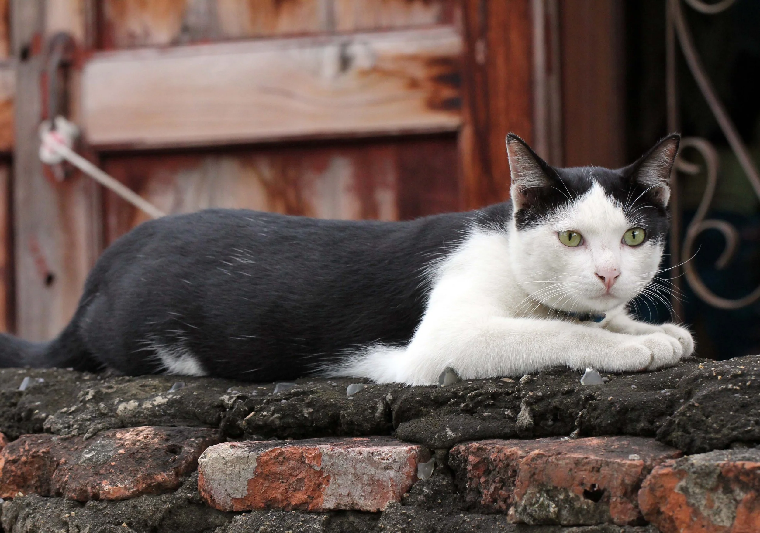 2013 Ayutthaya ISB Passion Day (165).JPG