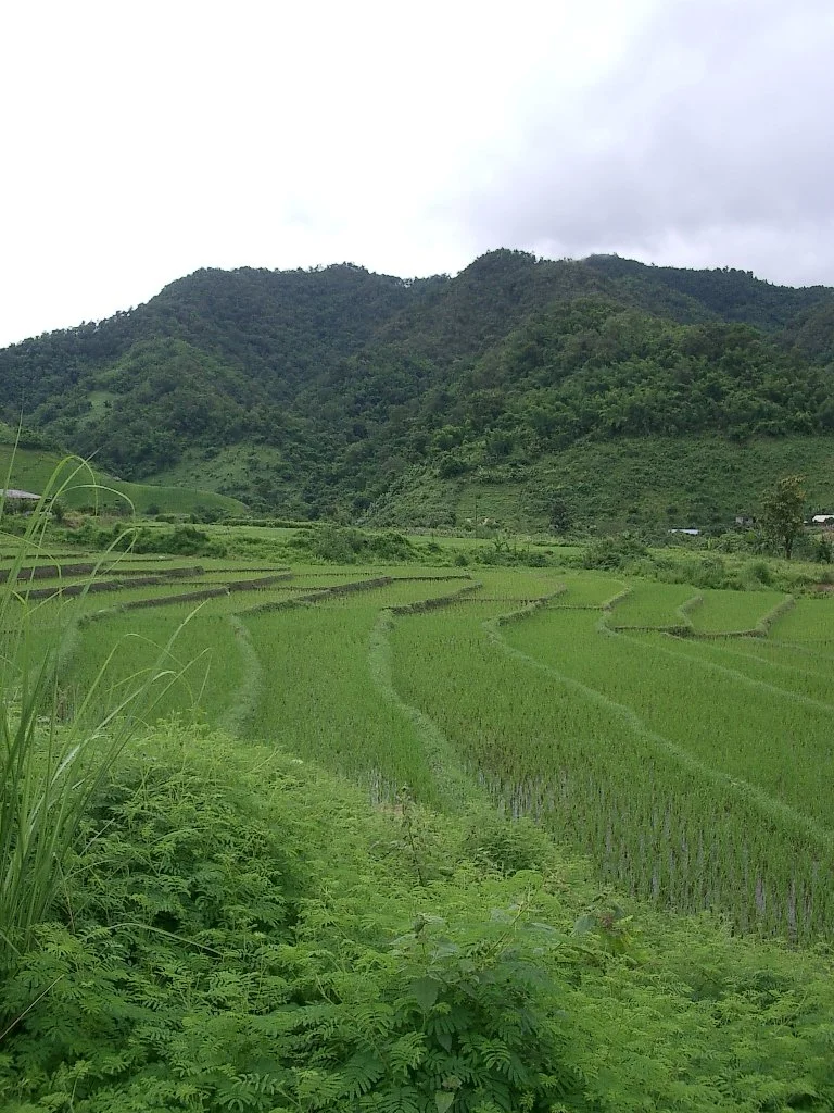 HILLTRIBE - COUNTRYSIDE NEAR CHIANG RAI - 2004.JPG