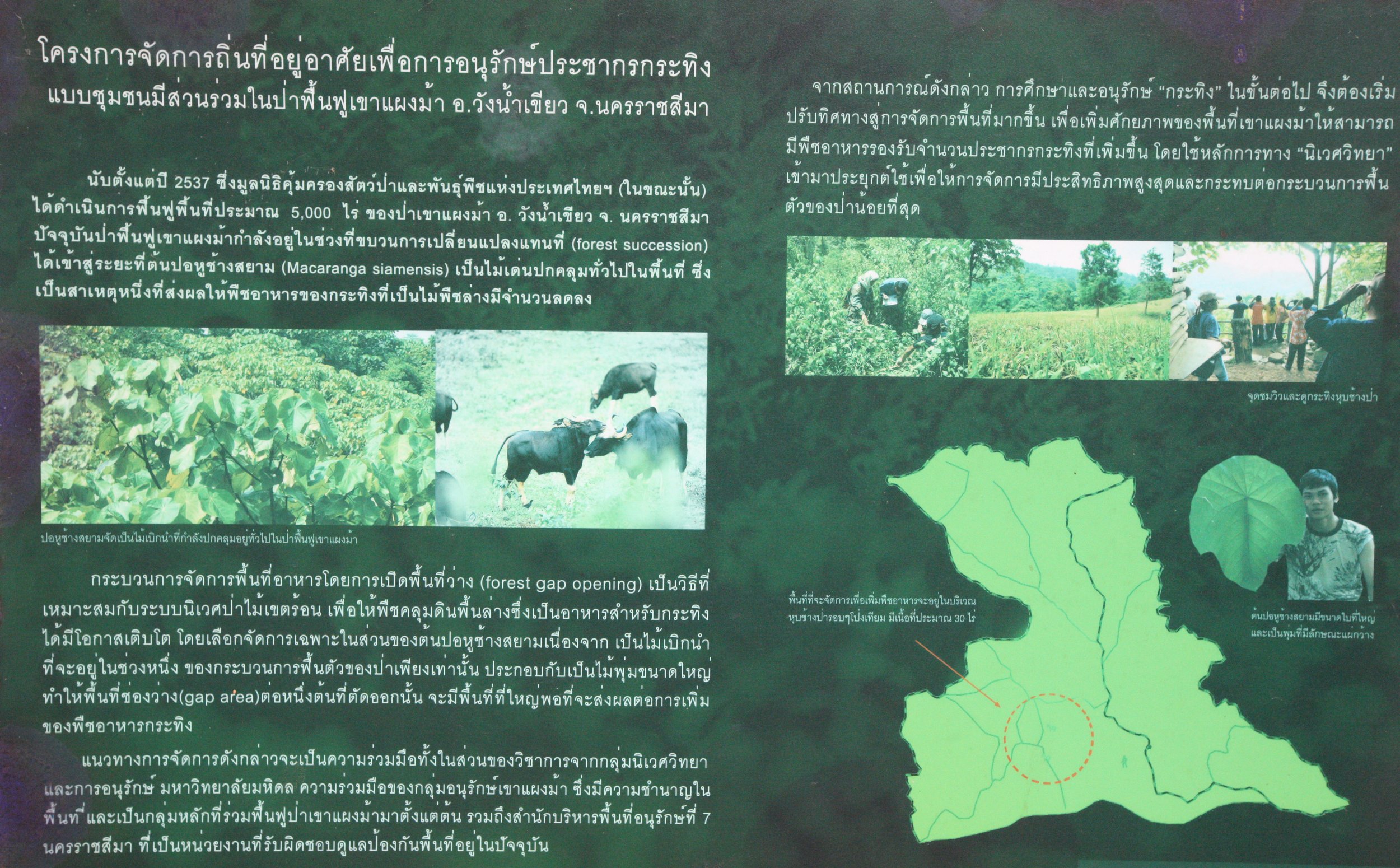 2015 Khao Pang Ma Nonhunting Area (165).JPG