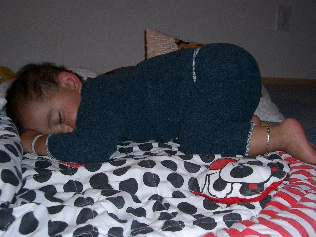 2003-8-30 COKIE SLEEPING (4).JPG