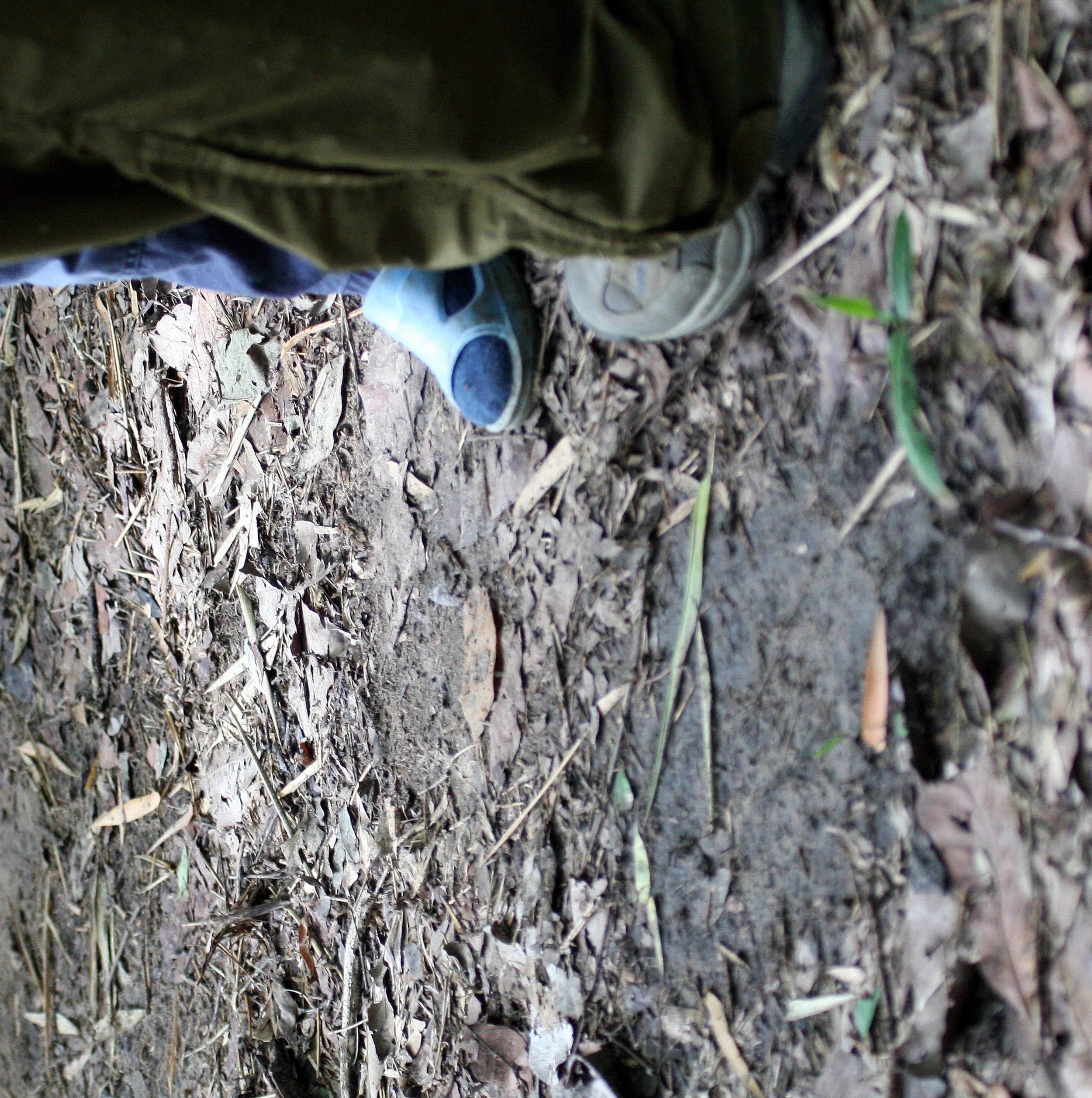 ELEPHANT - ASIAN ELEPHANT SIGN - HKK NWS (2).JPG