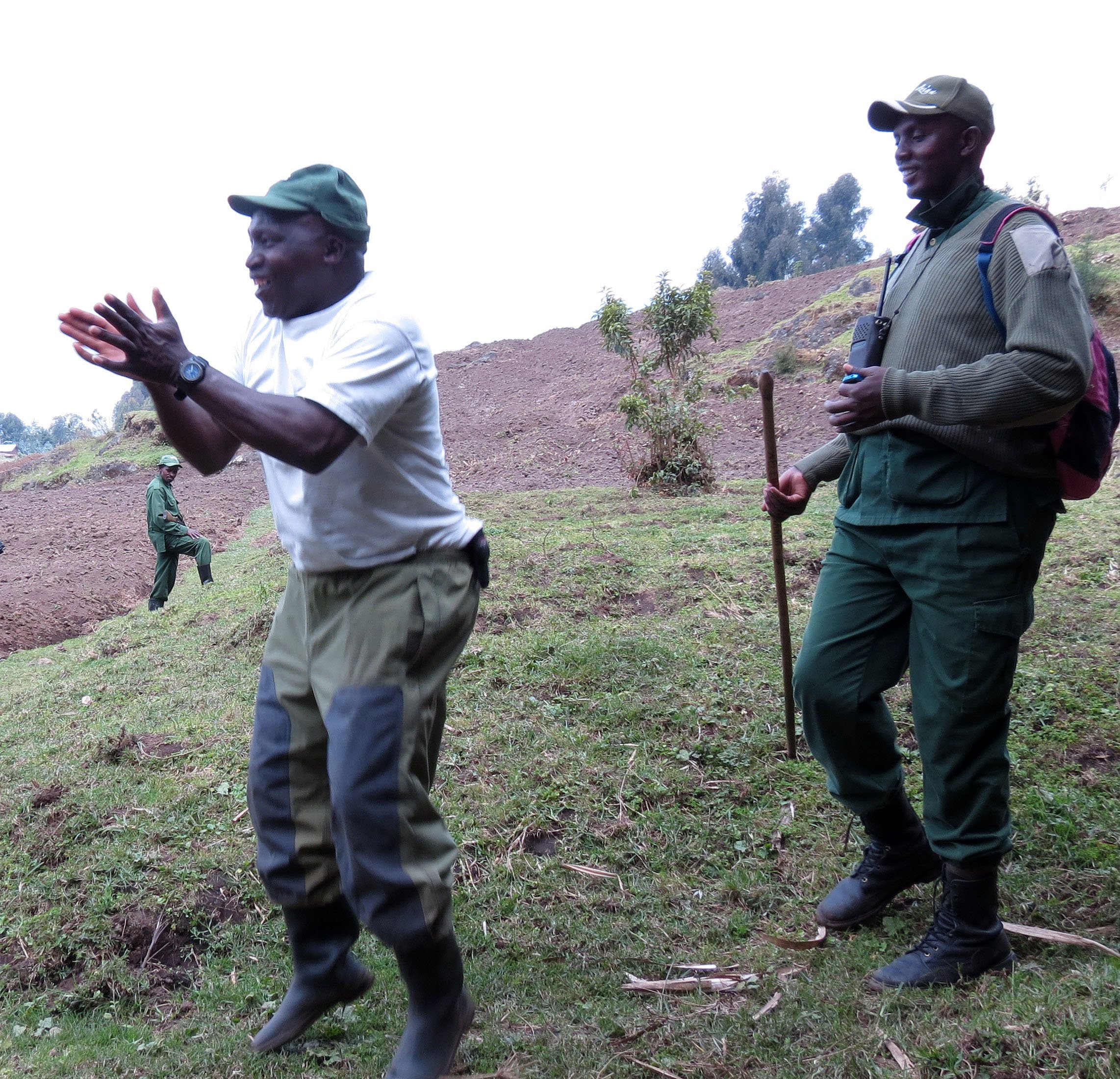 PARC DU VULCANS RWANDA (52).JPG