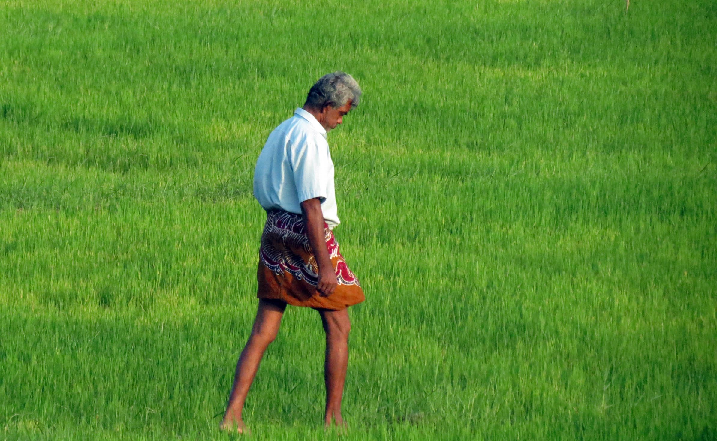 YALA NATIONAL PARK SRI LANKA - KIRINDA VILLAGE AREA (2).JPG