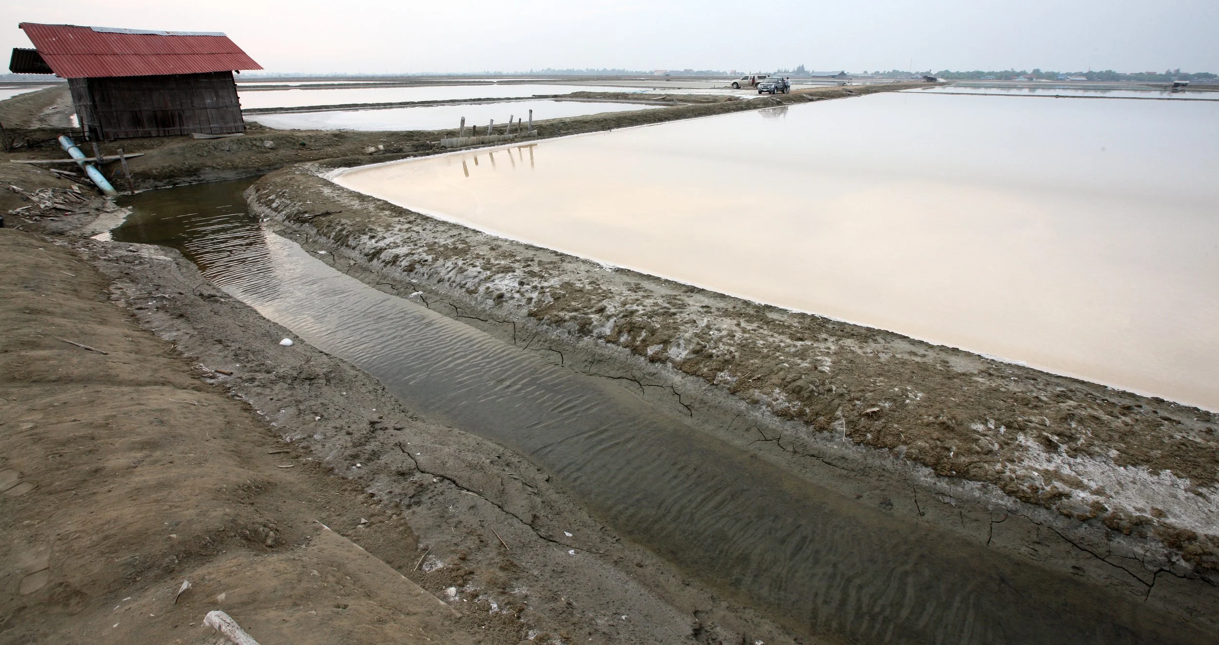2011 Pak Thale Salt Ponds (8).JPG
