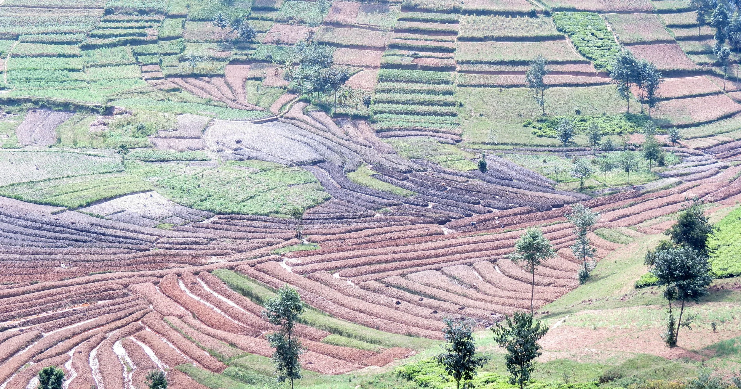 BUTARE RWANDA (31).JPG