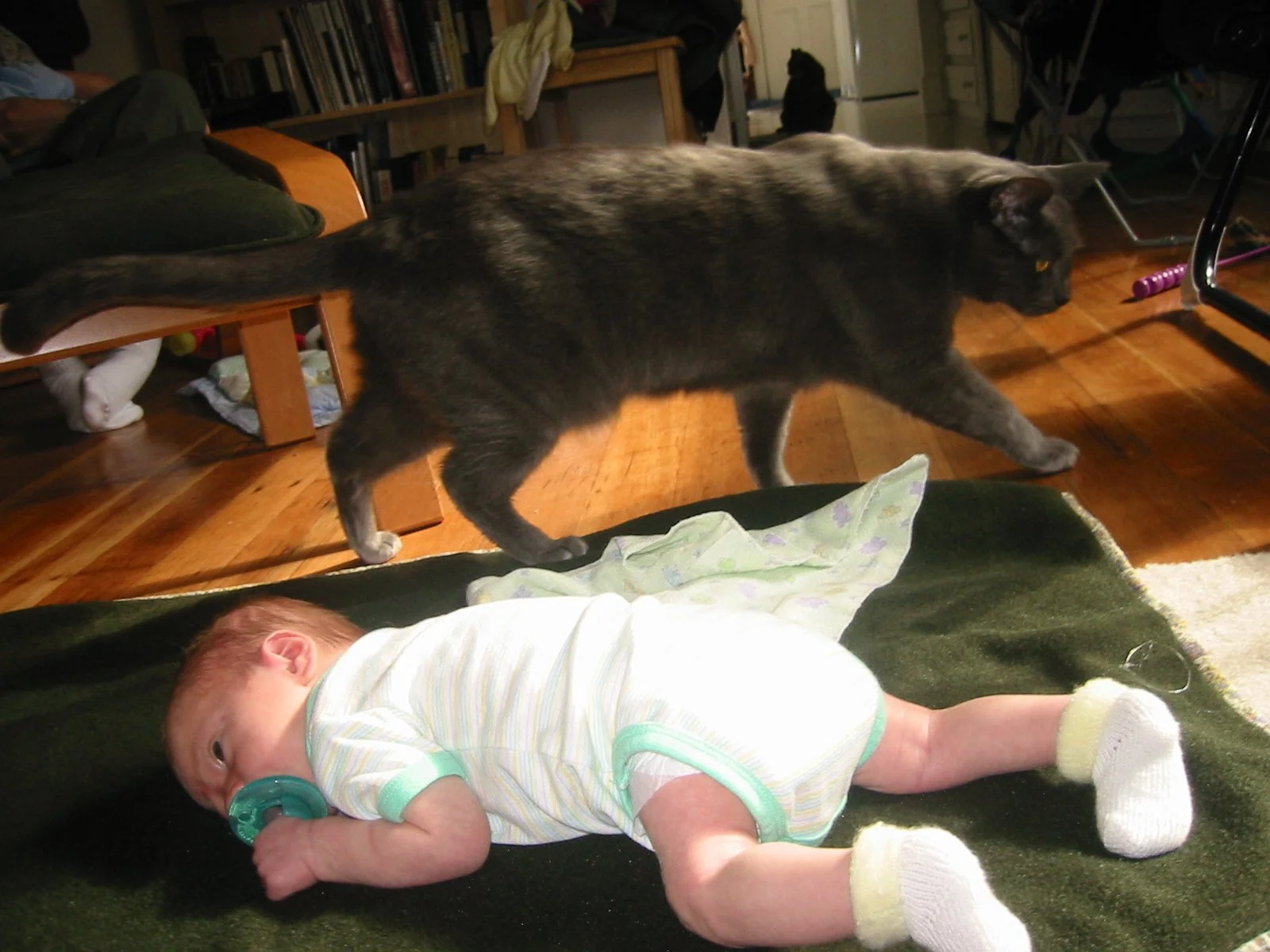 2003-4-2 SPRING TRIP TO SACRAMENTO (5).JPG