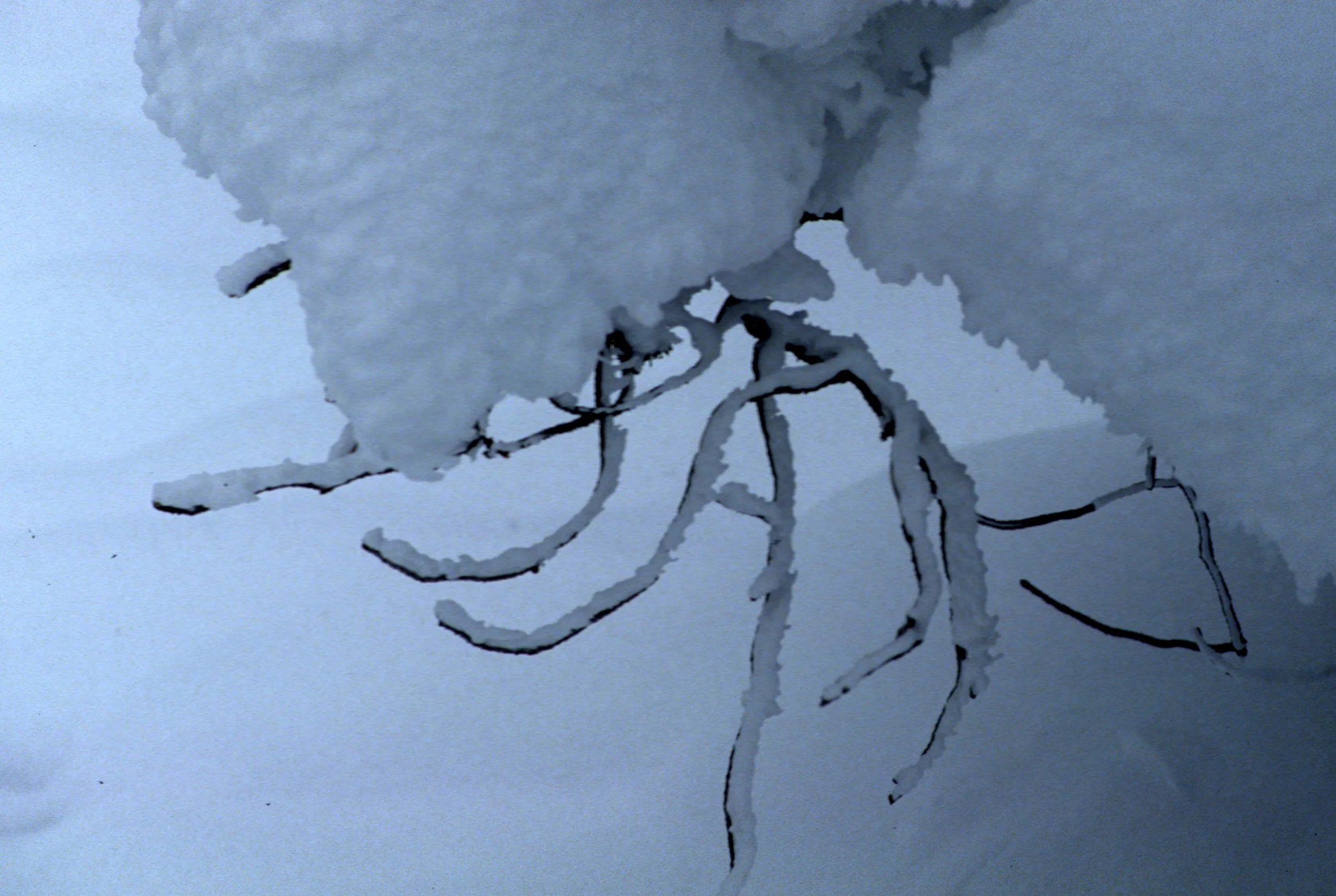 YELLOWSTONE IN WINTER N.jpg