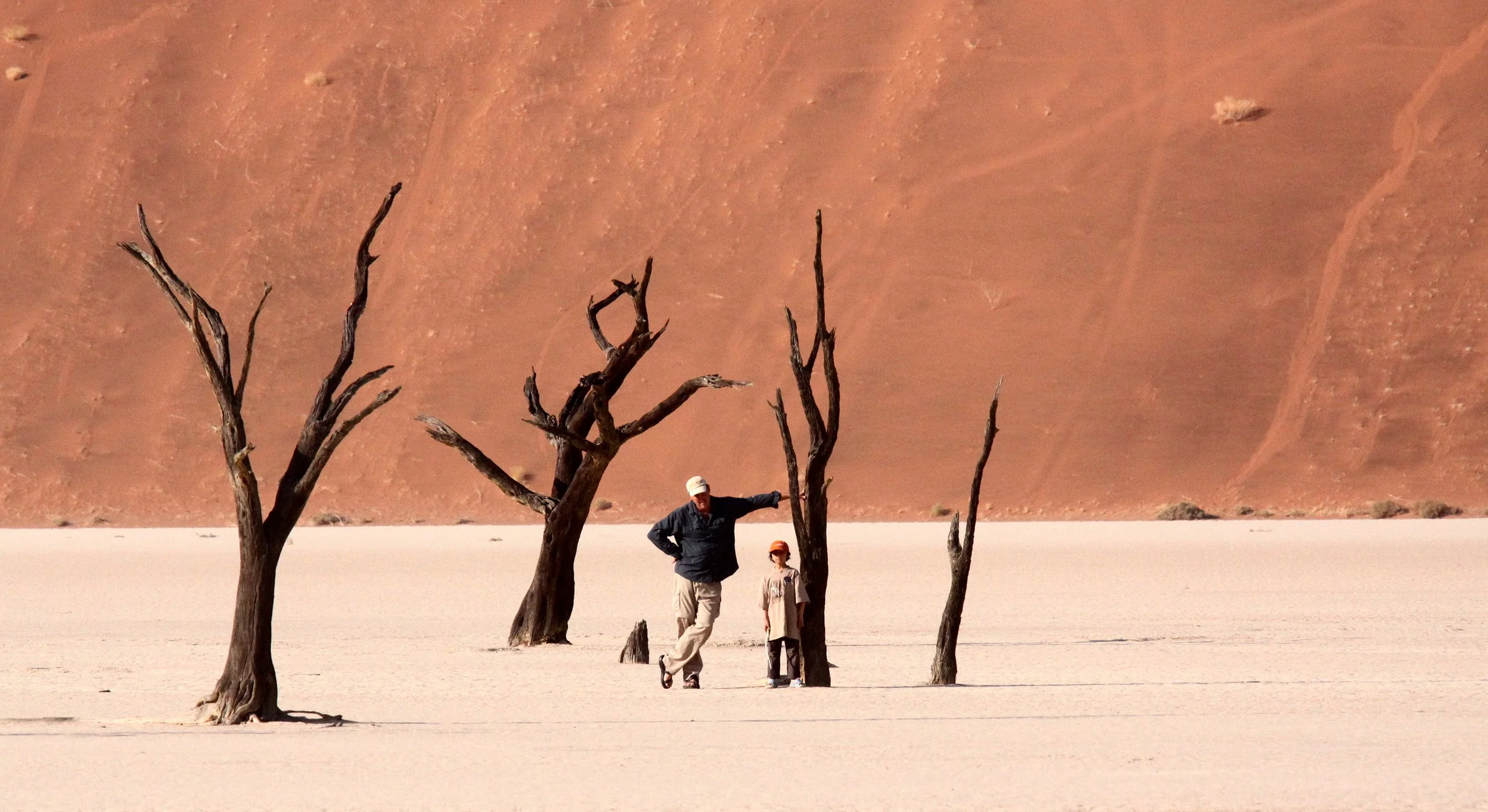 SOSSUSVLEI, NAMIB NAUKLUFT NATIONAL PARK, NAMIBIA - DEAD VLEI (45).JPG