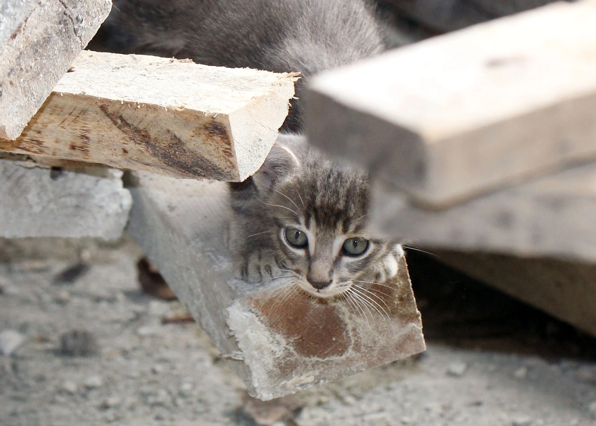 2015 Koh Lanta October Break Trip  (215).JPG