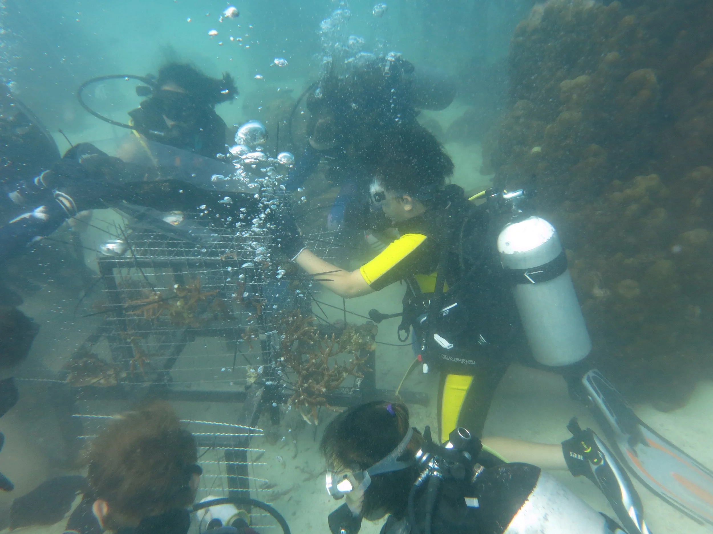 2016 BPS Satthahip Dive Trip with Marine Conservation Club (30).JPG