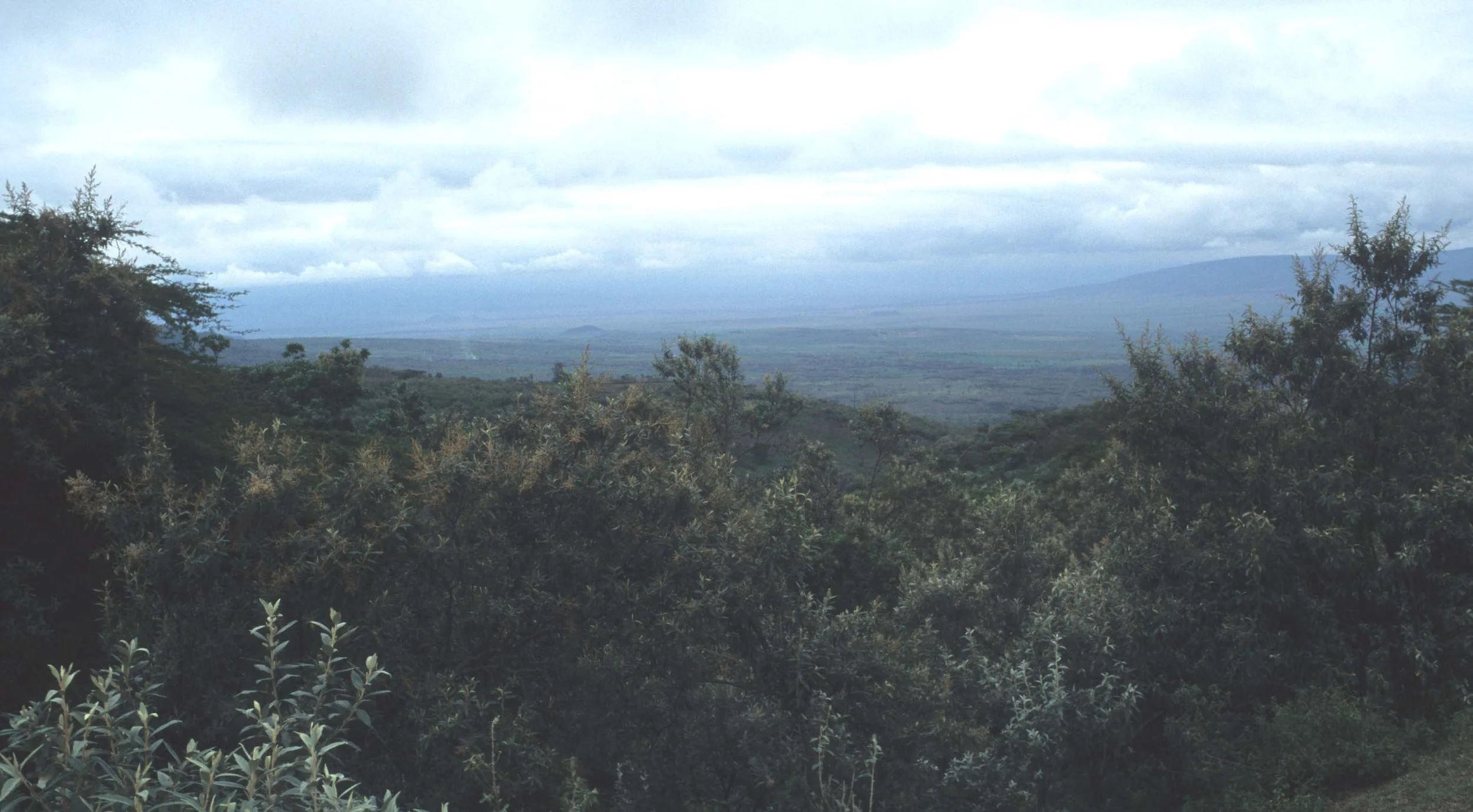 SERENGETI RIFT VALLEY 3.jpg