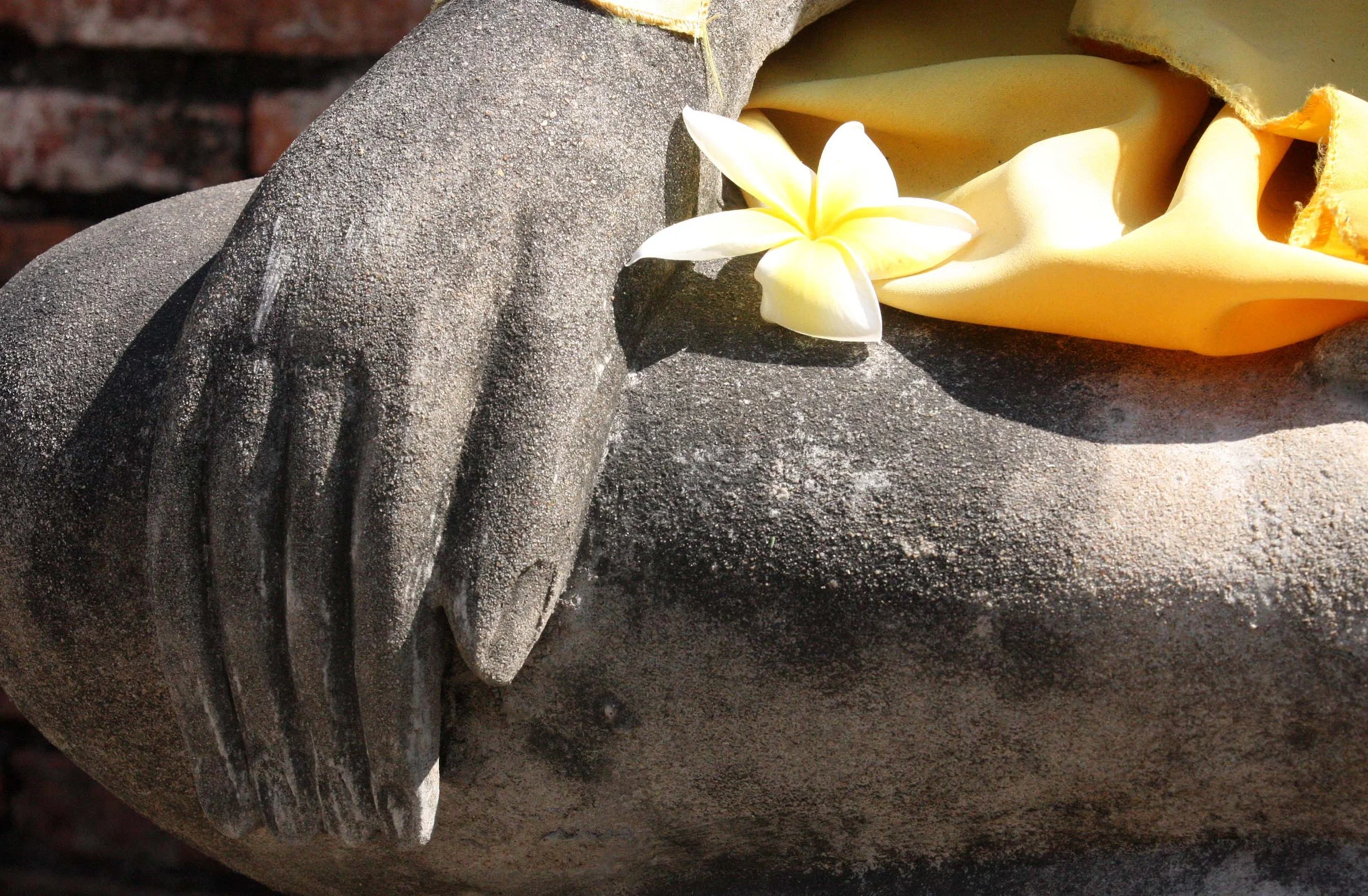 AYUDTHAYA - RECLINING BUDDHA WAT - CHRISTMAS IN THAILAND TRIP 2008 (27).JPG