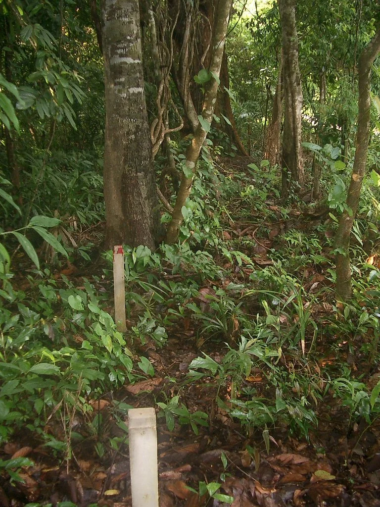 KOH LANTA - PROPERTY - 2004 (71).JPG