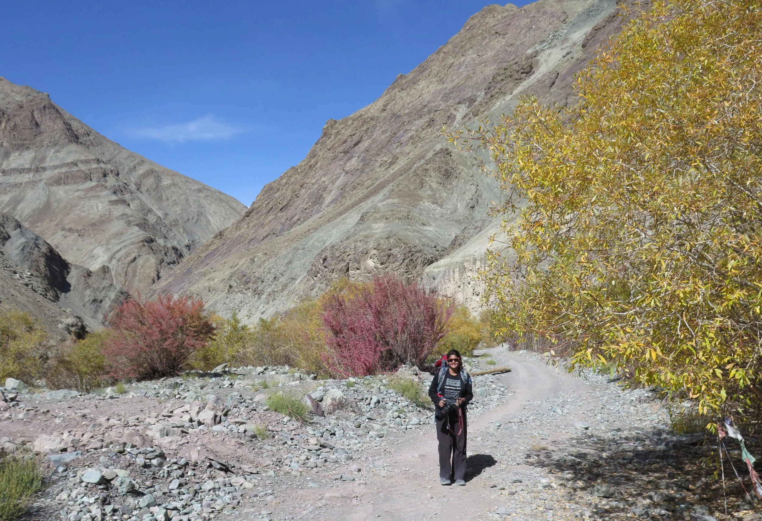 HEMIS NATIONAL PARK - LADAKH INDIA - JAMMU & KASHMIR NEAR RUMBAK VILLAGE (520).JPG