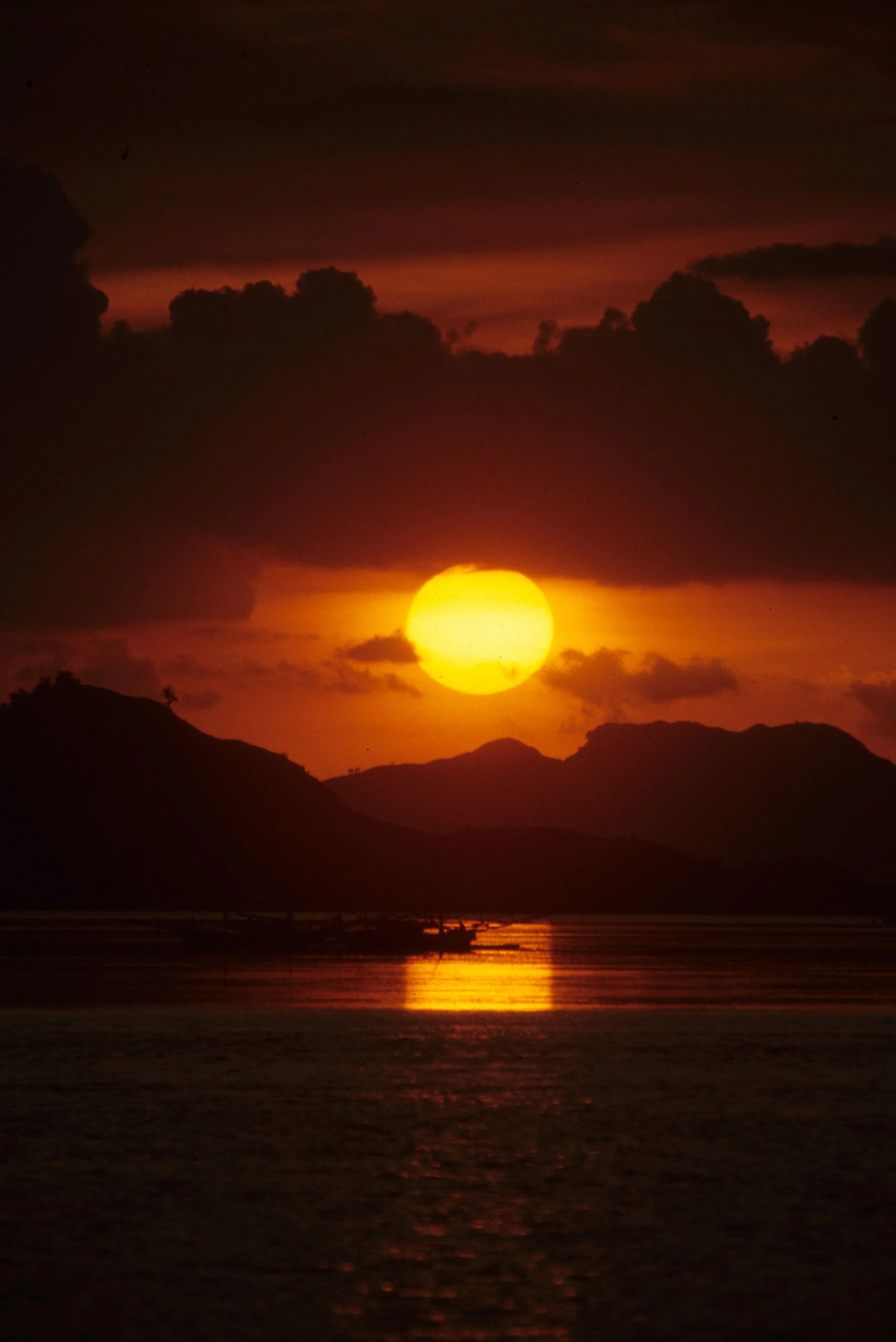 KOMODO - SUNSET 1996.jpg