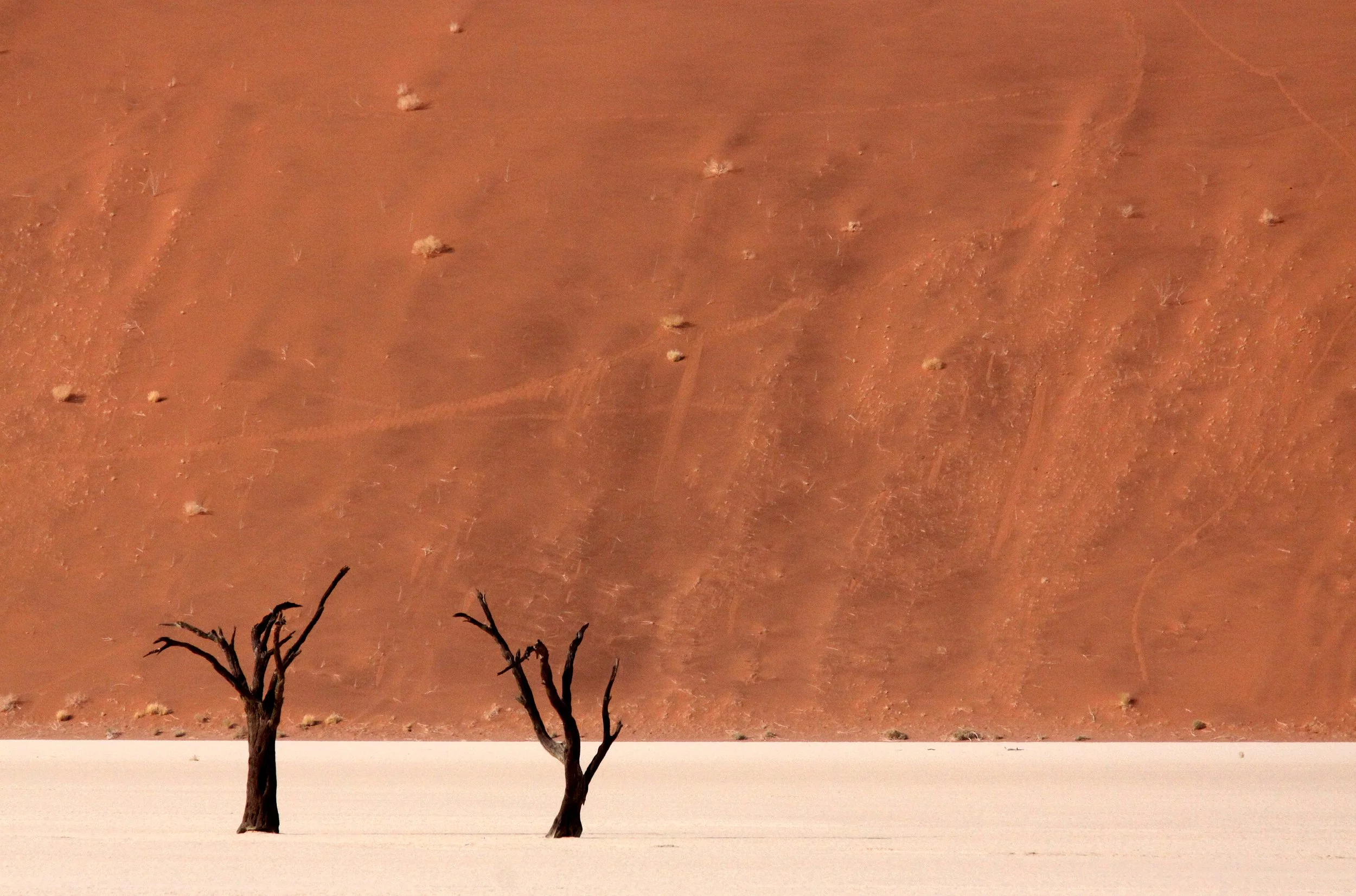 SOSSUSVLEI, NAMIB NAUKLUFT NATIONAL PARK, NAMIBIA - DEAD VLEI (78).JPG