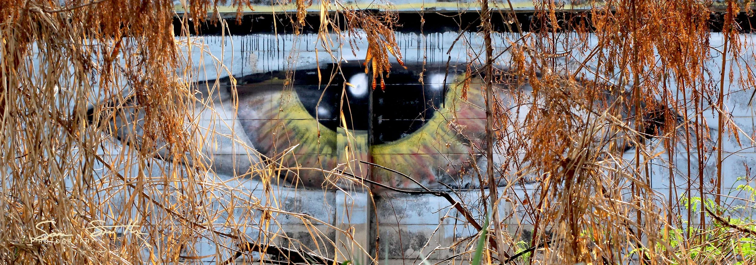 2017 Graffiti Tour in Bangkok (537).JPG