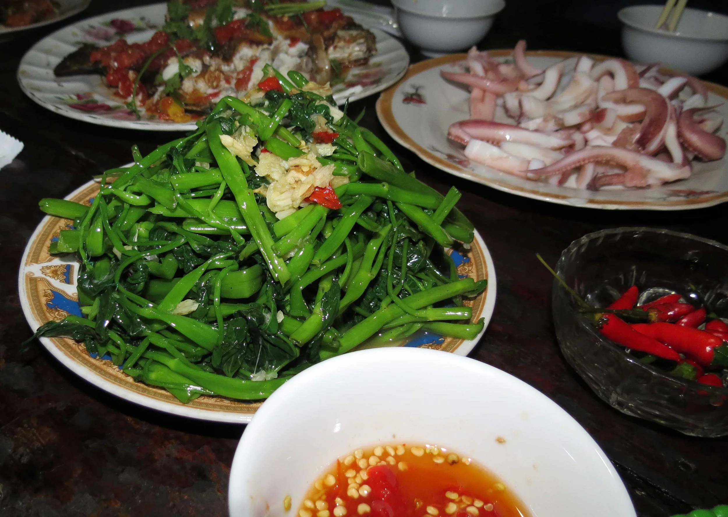 BACH MA NATIONAL PARK AND VICINITY VIET NAM (30).JPG