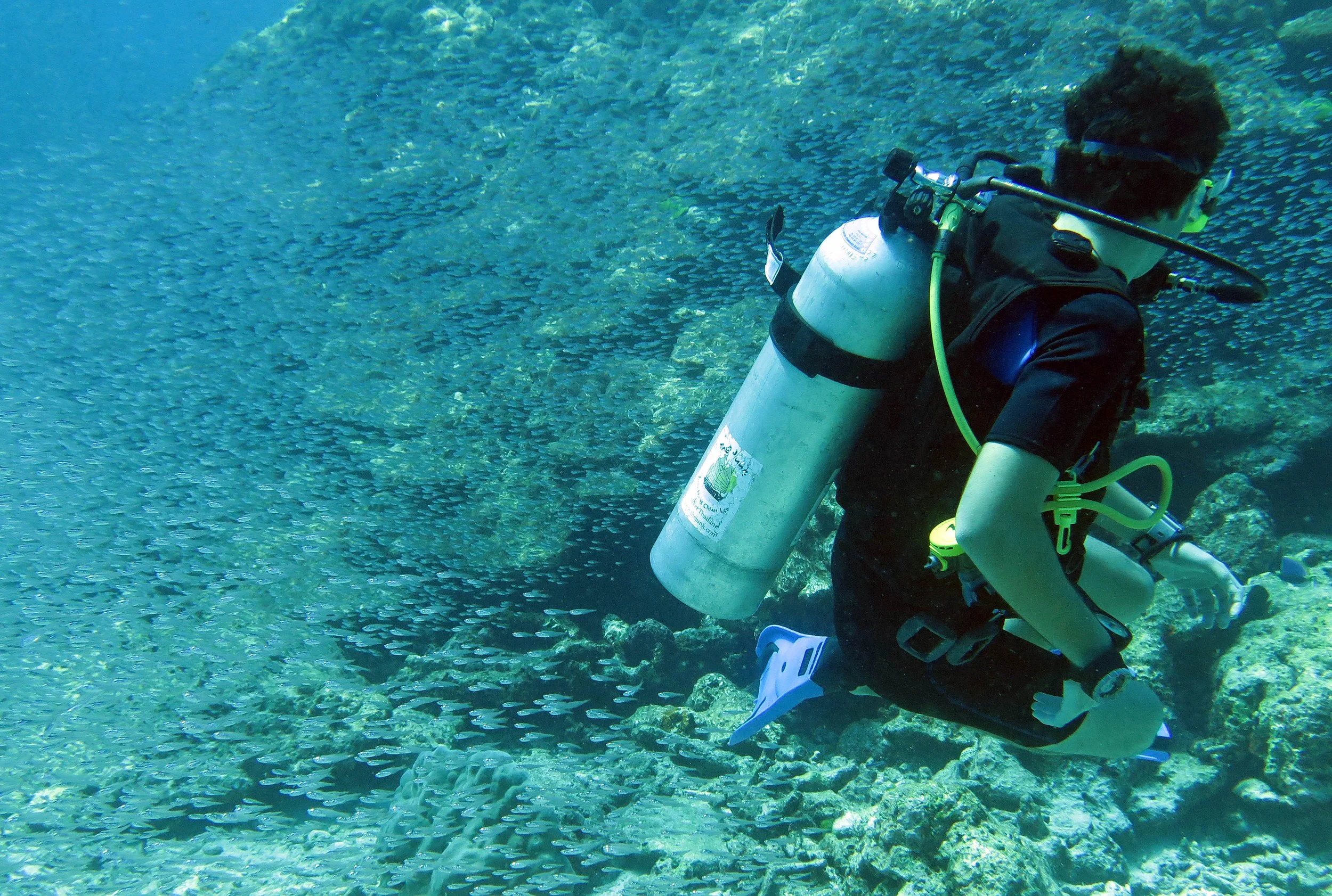 2014 Similan Islands Marine Park Thailand ISB Dive Trip (103).JPG