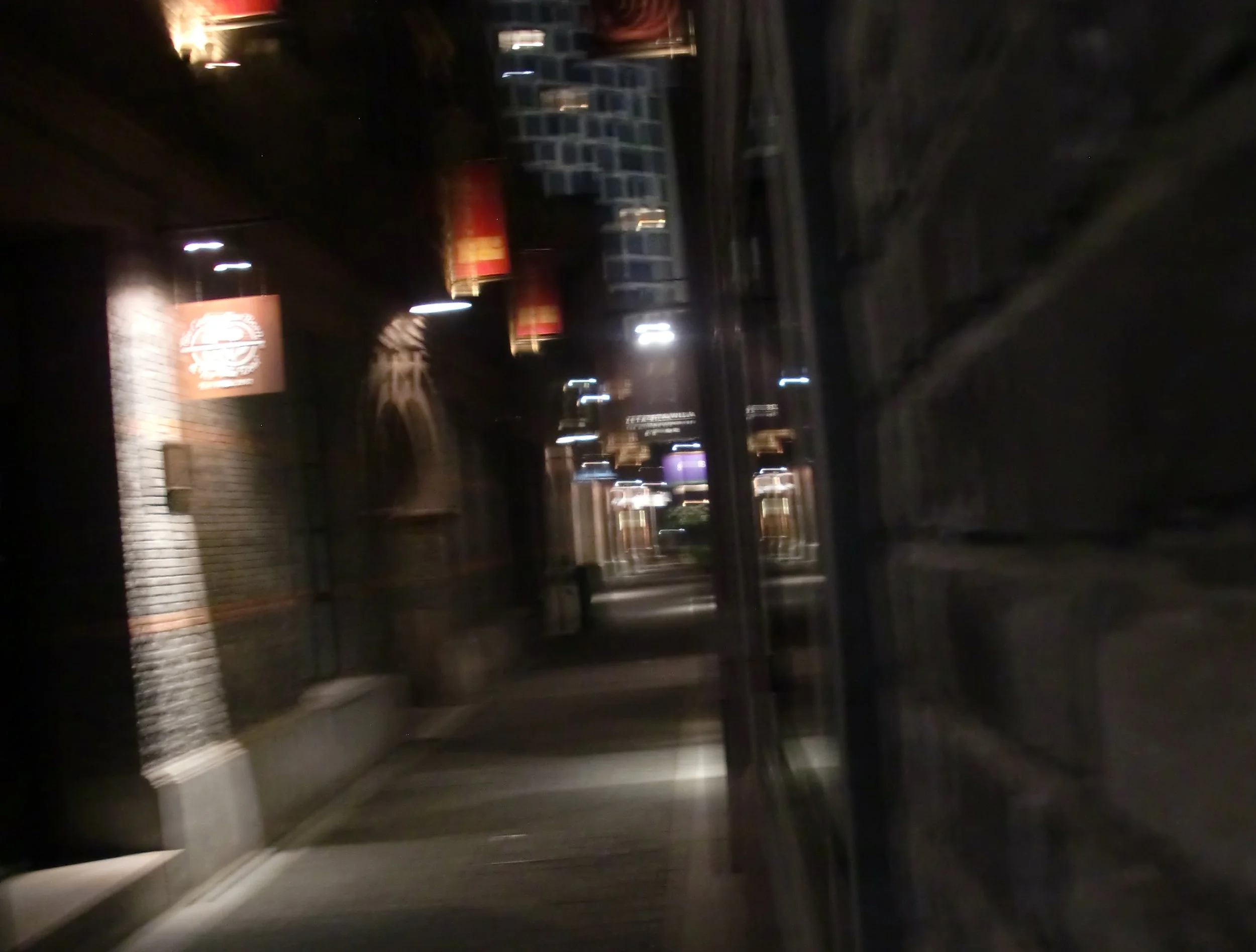 SOM'S BIRTHDAY 2011 - SAS WINTER BALL! (81).JPG