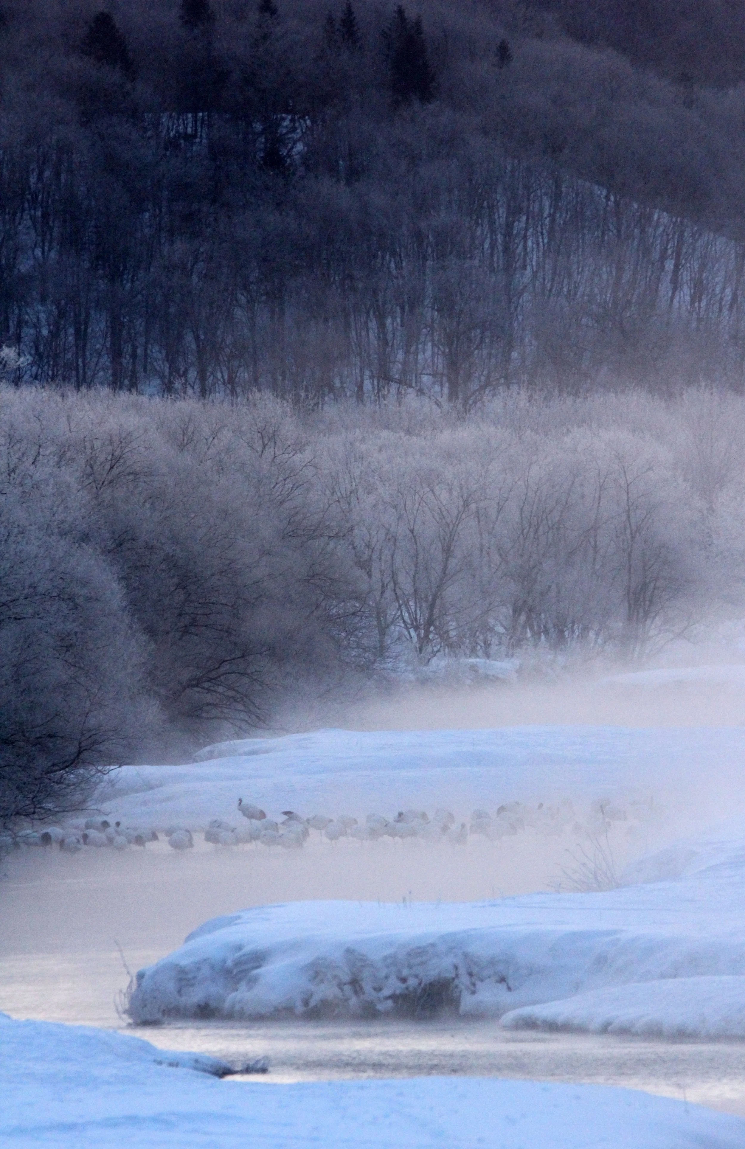 Setsuri (gawa) River