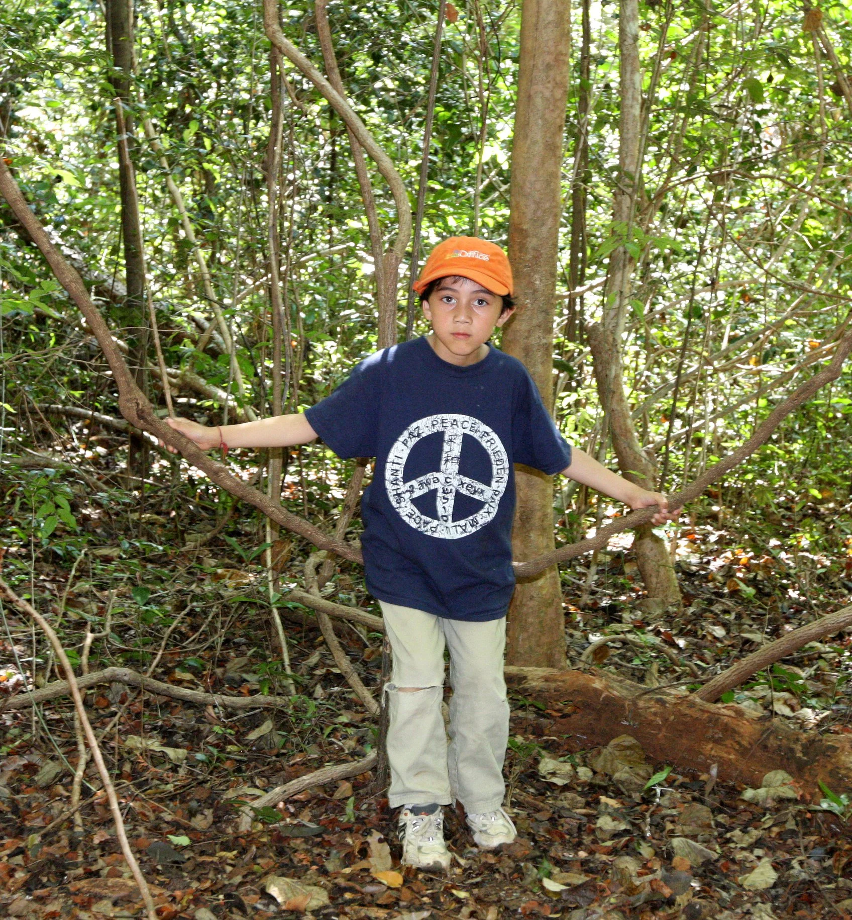 ANKARANA NATIONAL PARK MADAGASCAR - PLAYING IN THE FOREST (2).JPG