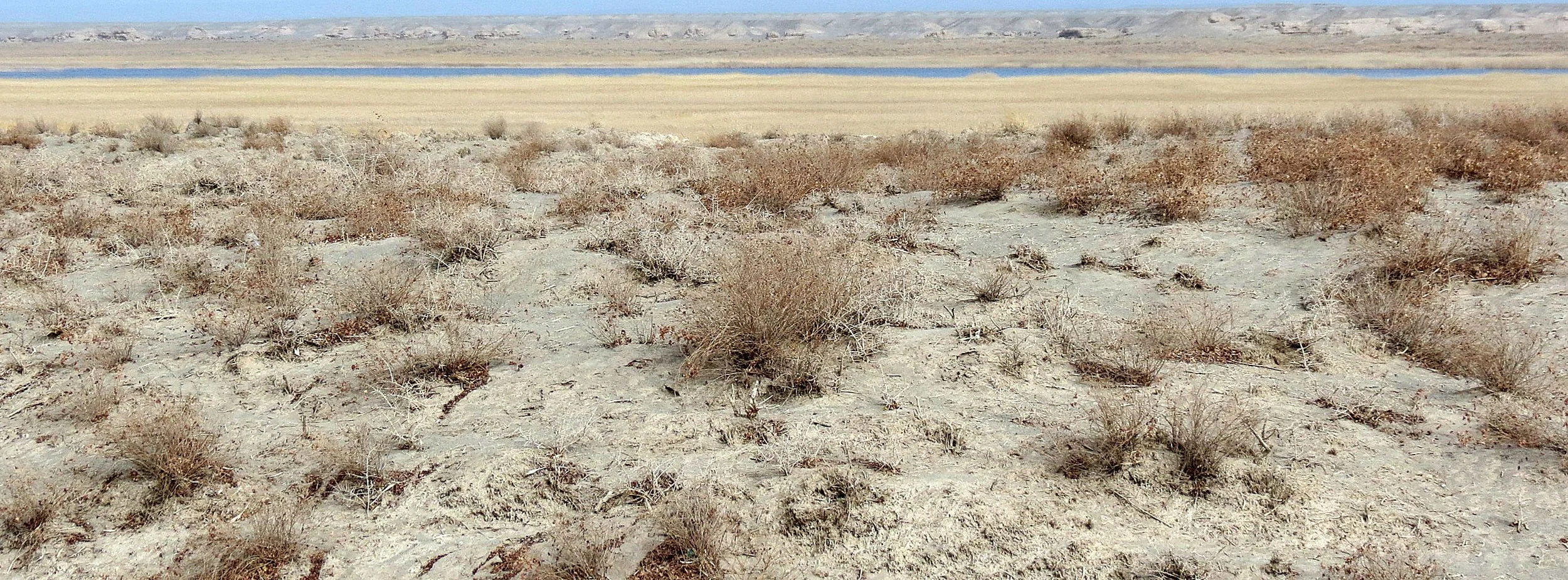 GANSU DUNHUANG XIFU NATURE RESERVE - CHINA (23).JPG