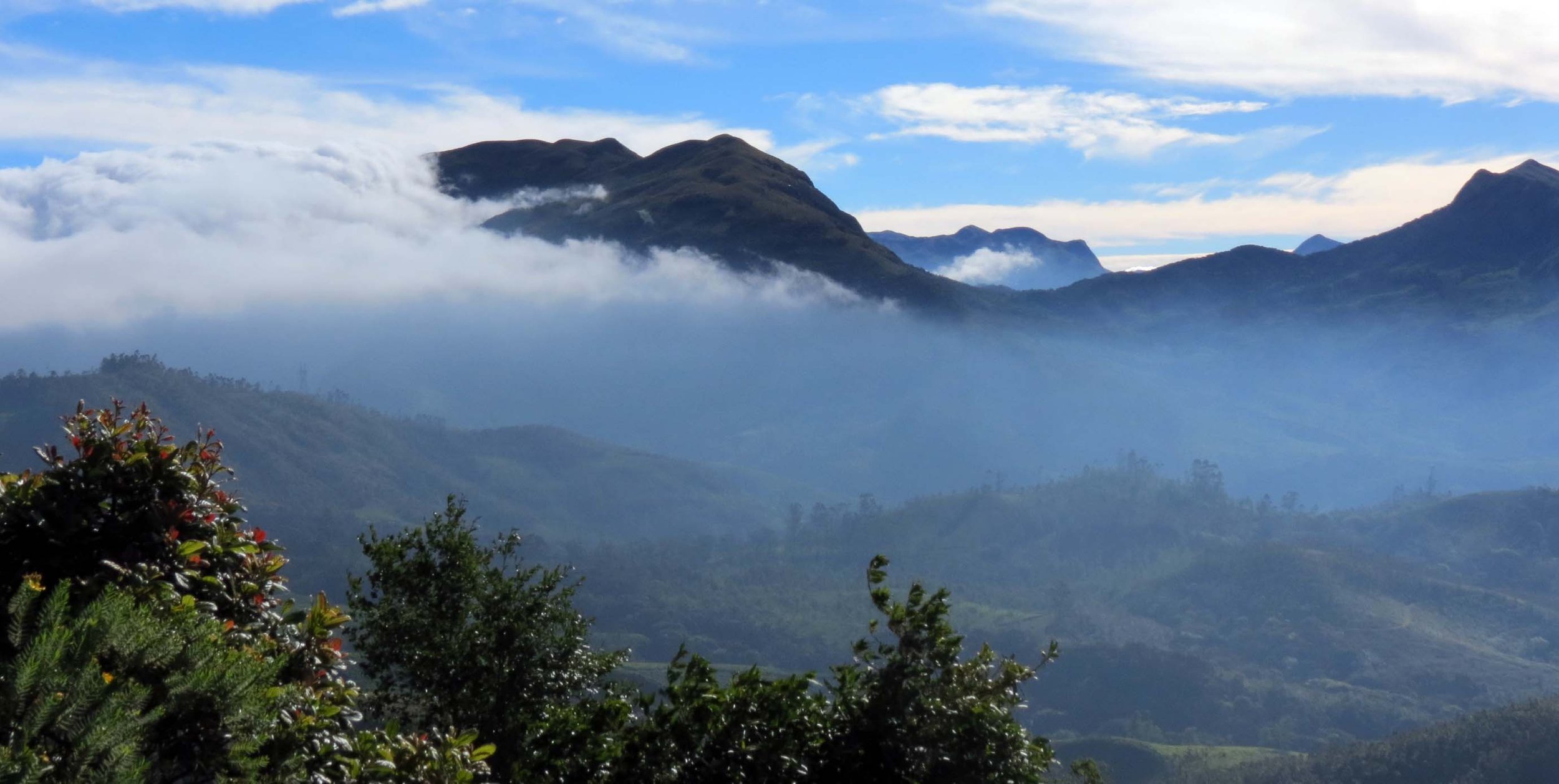 Eravikulam National Park