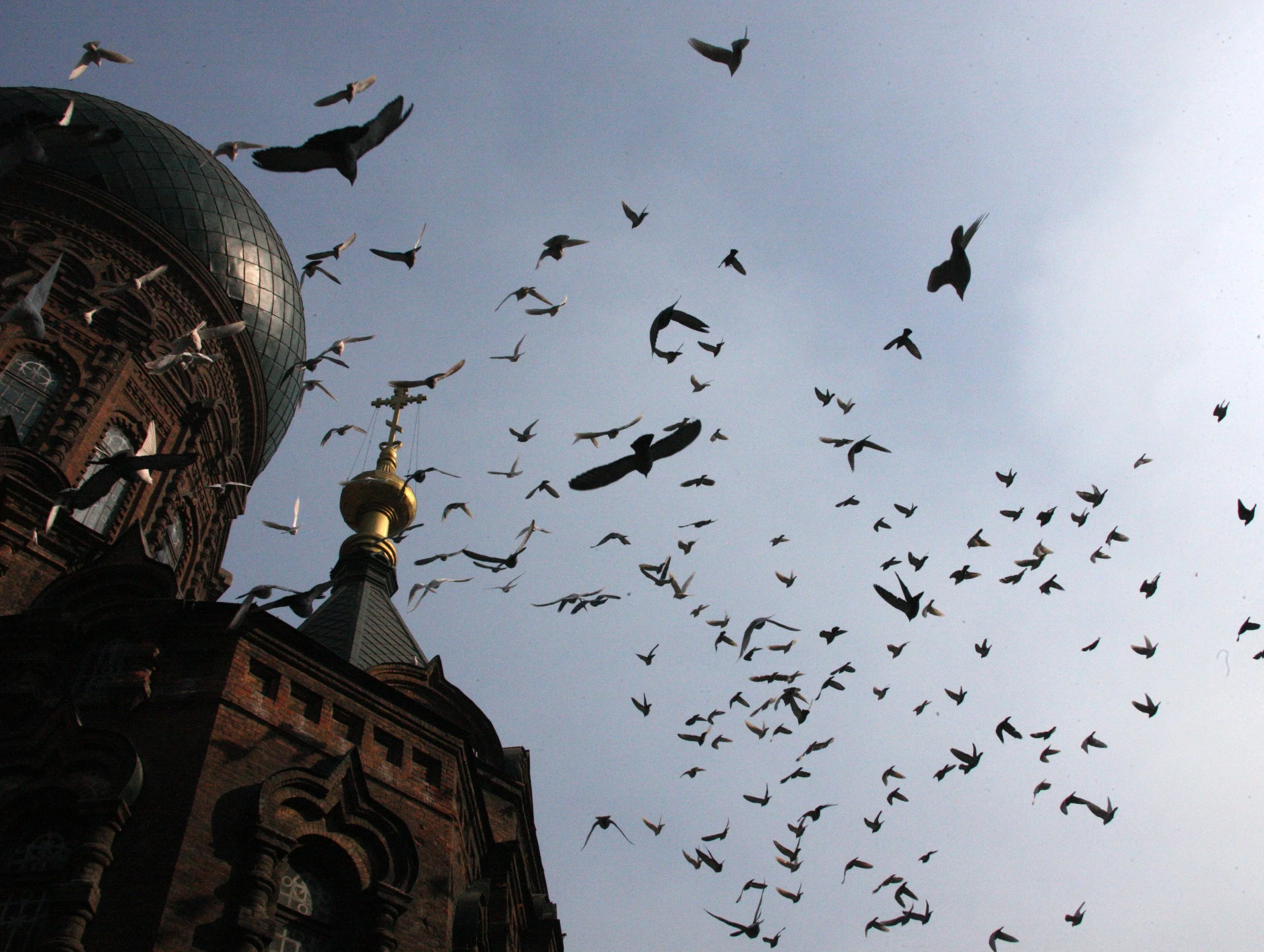 SAINT SOPHIA'S CATHEDRAL HARBIN CHINA (59).JPG
