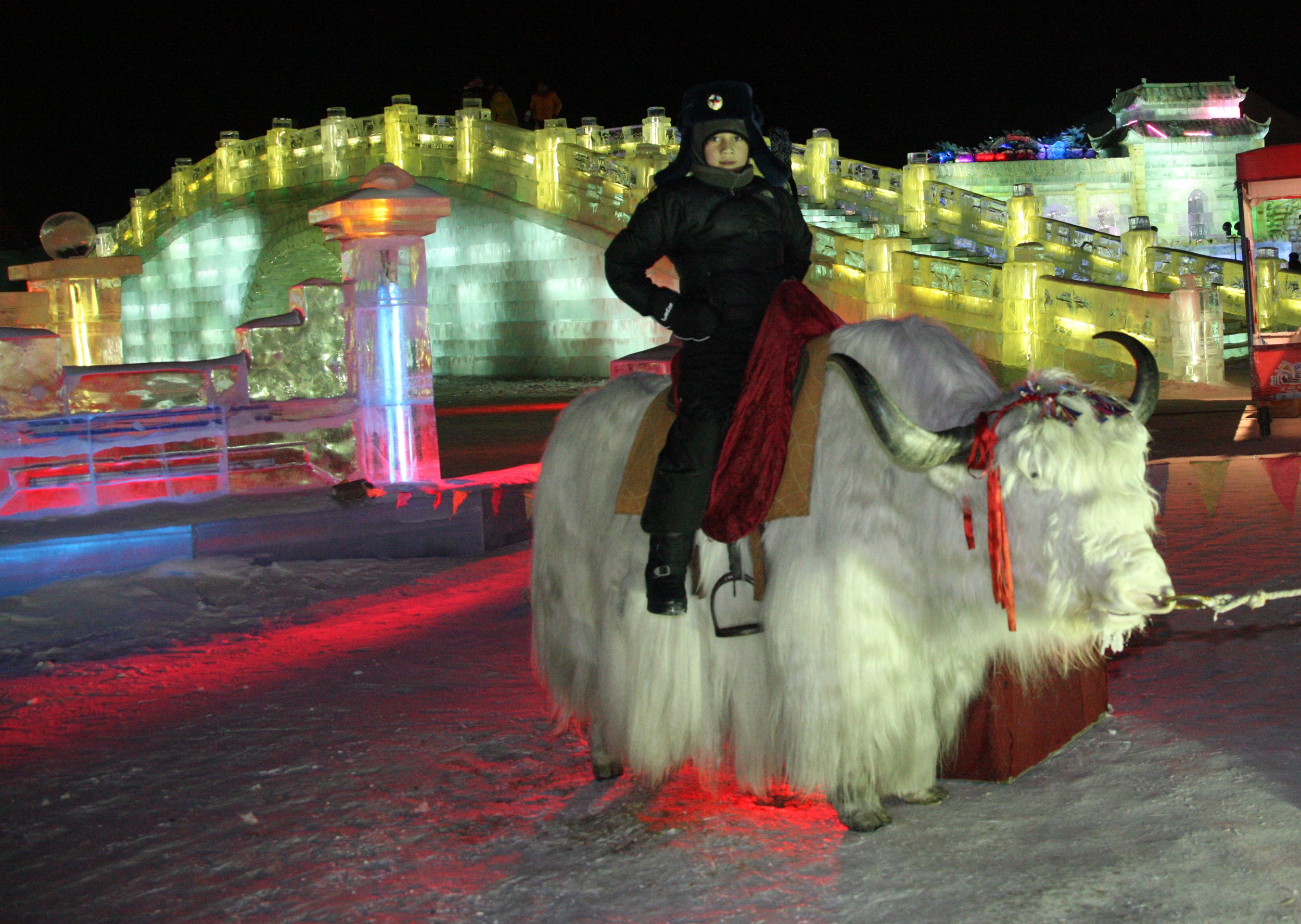HARBIN ICE & SNOW FESTIVAL FEBRUARY 2012 (87).JPG