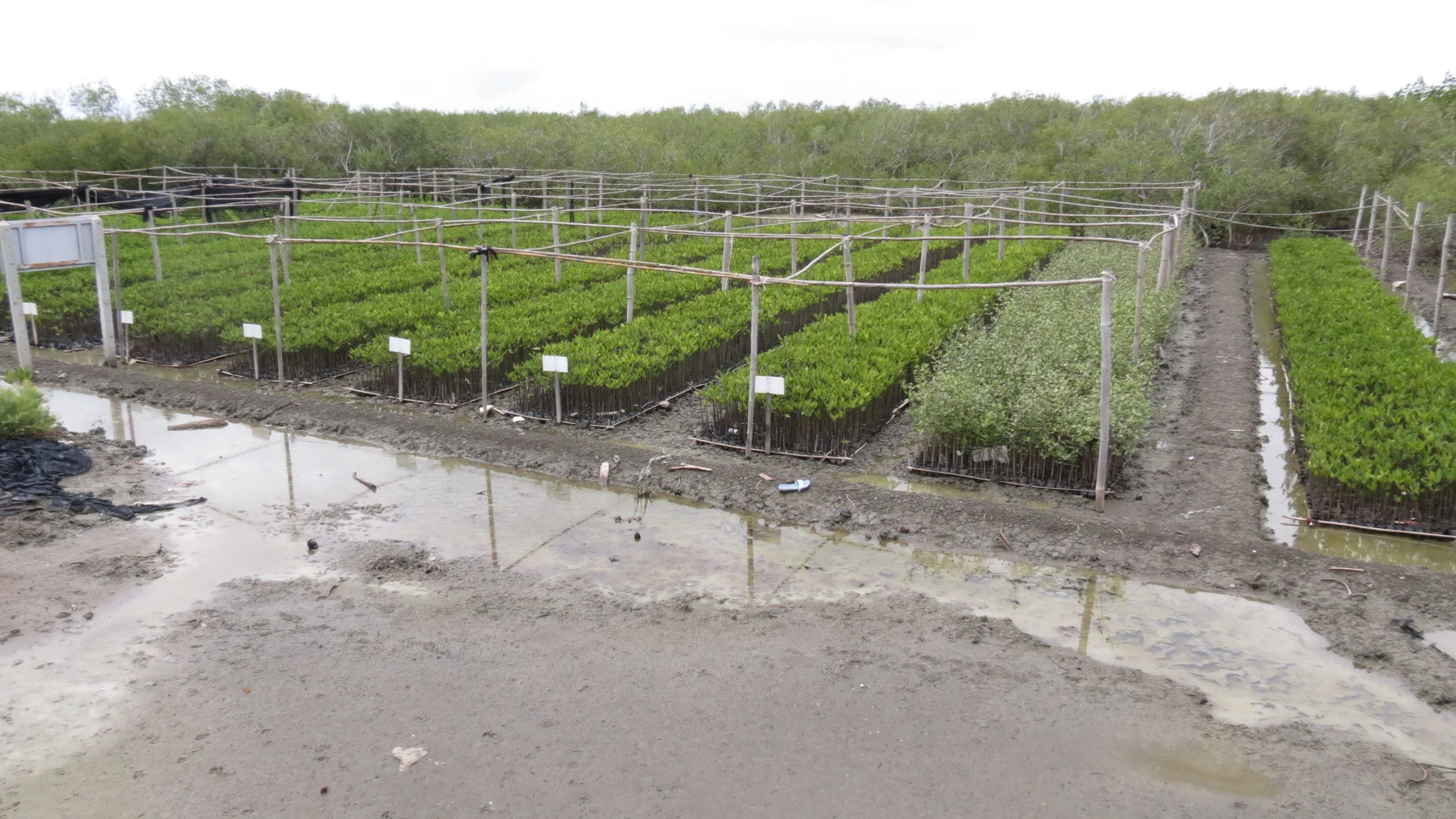 2013 Cha'am and Petchaburi with Family & Friends (74).JPG