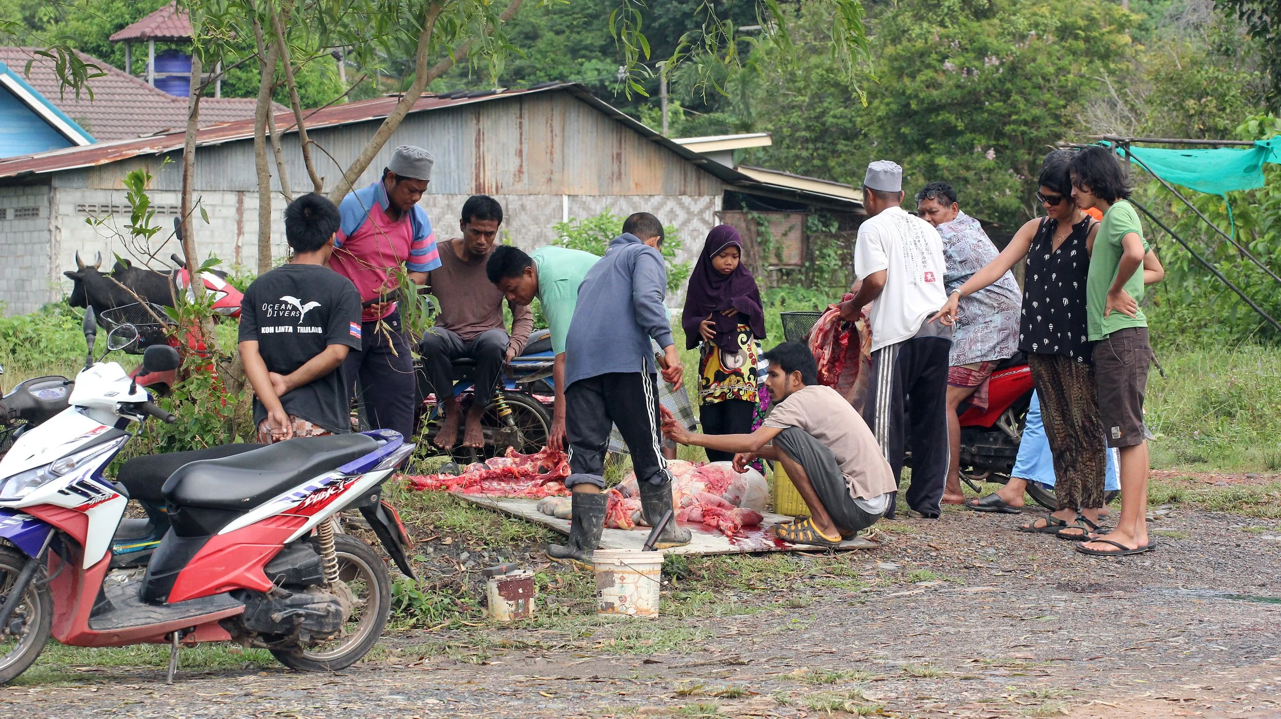2015 Koh Lanta Summer Misc Images (1038).JPG