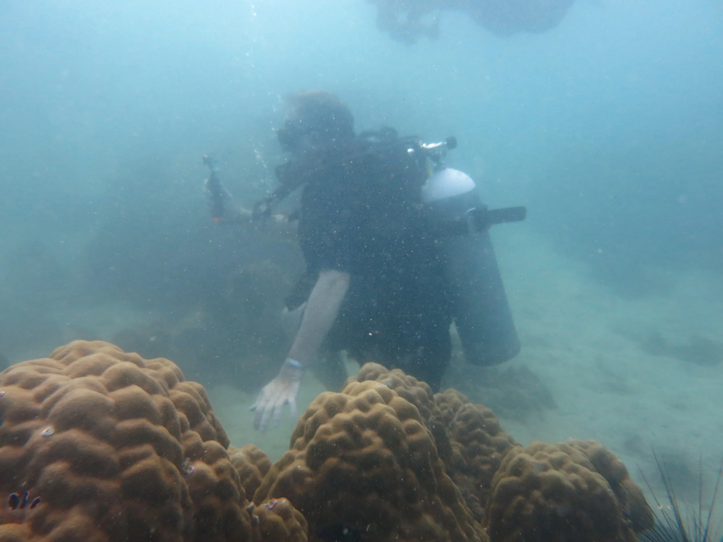 2016 BPS Satthahip Dive Trip with Marine Conservation Club (10).JPG