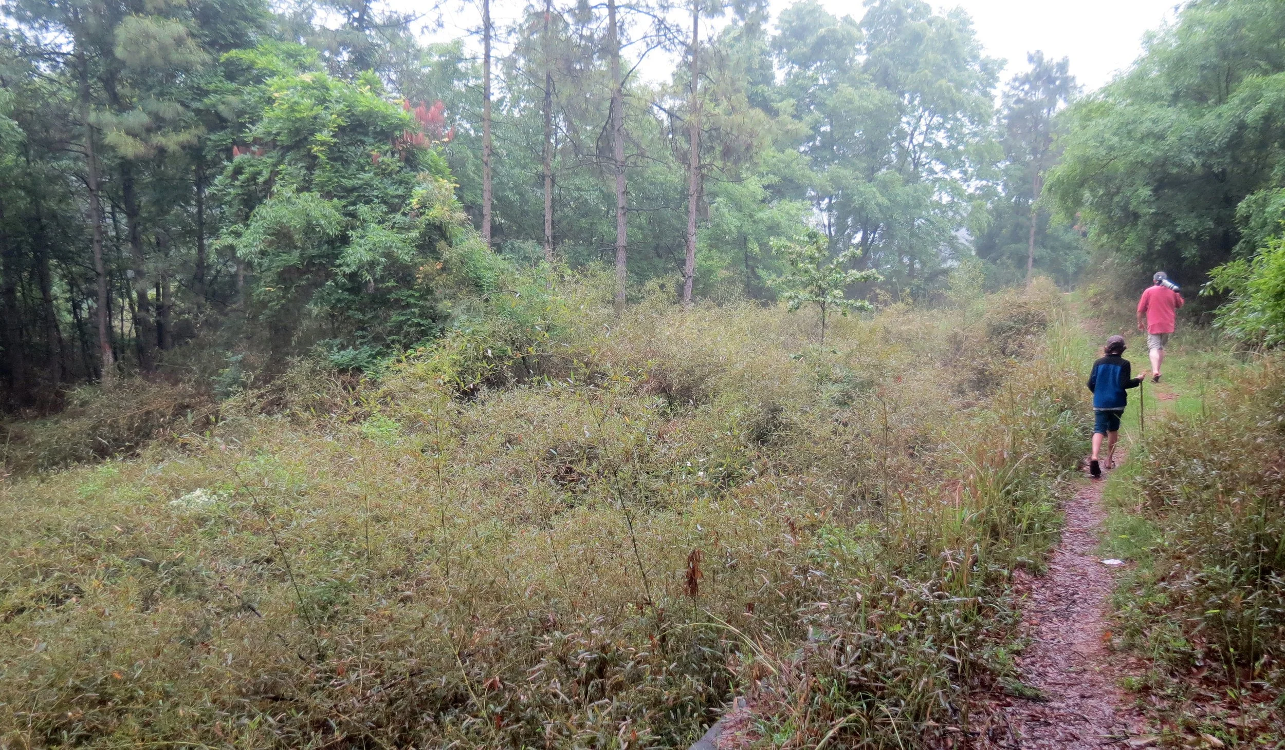 CHINESE ALLIGATOR BREEDING CENTER - XUANCHENG CHINA (7).JPG
