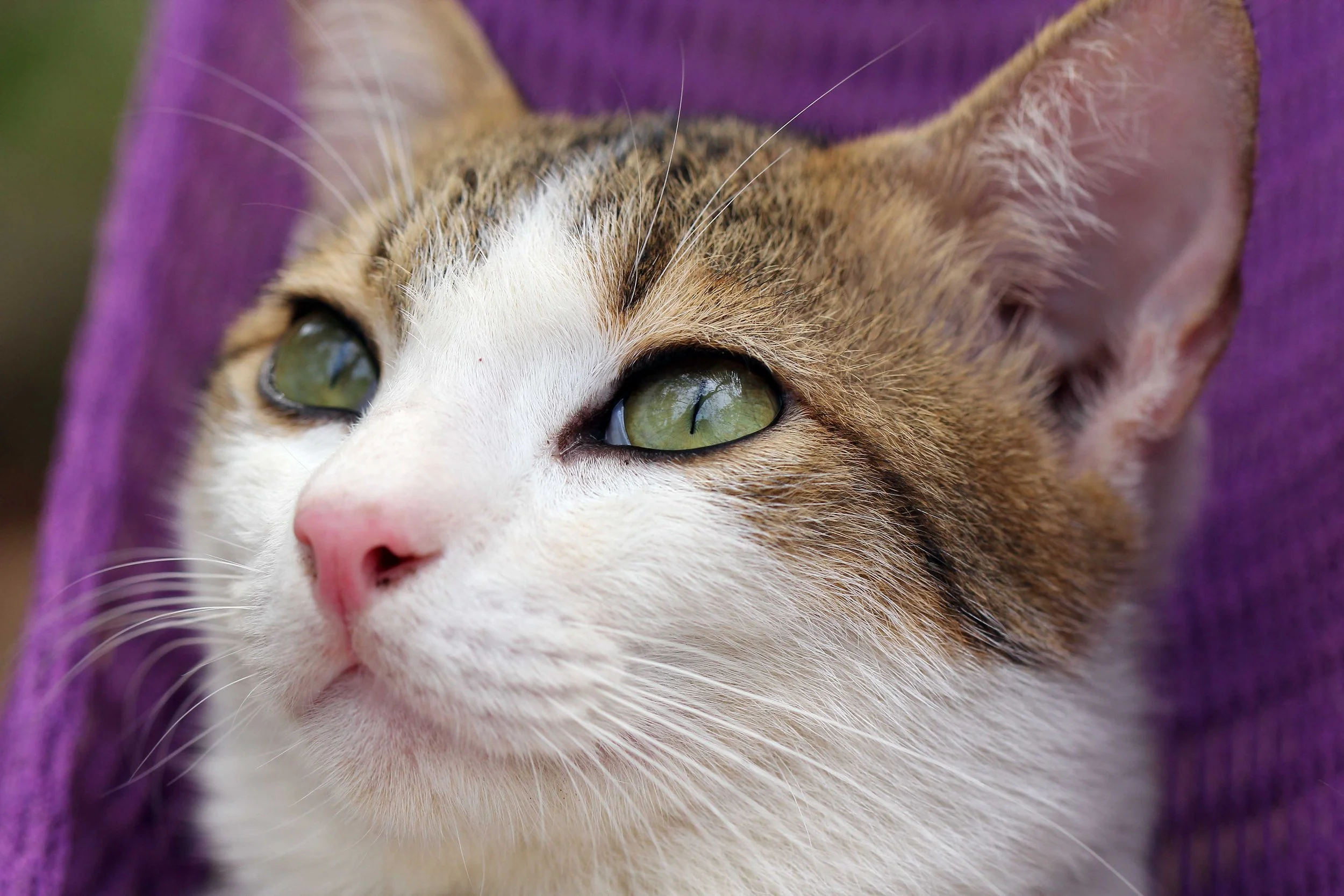 2015 Koh Lanta Songkran with friends from ISB (365).JPG