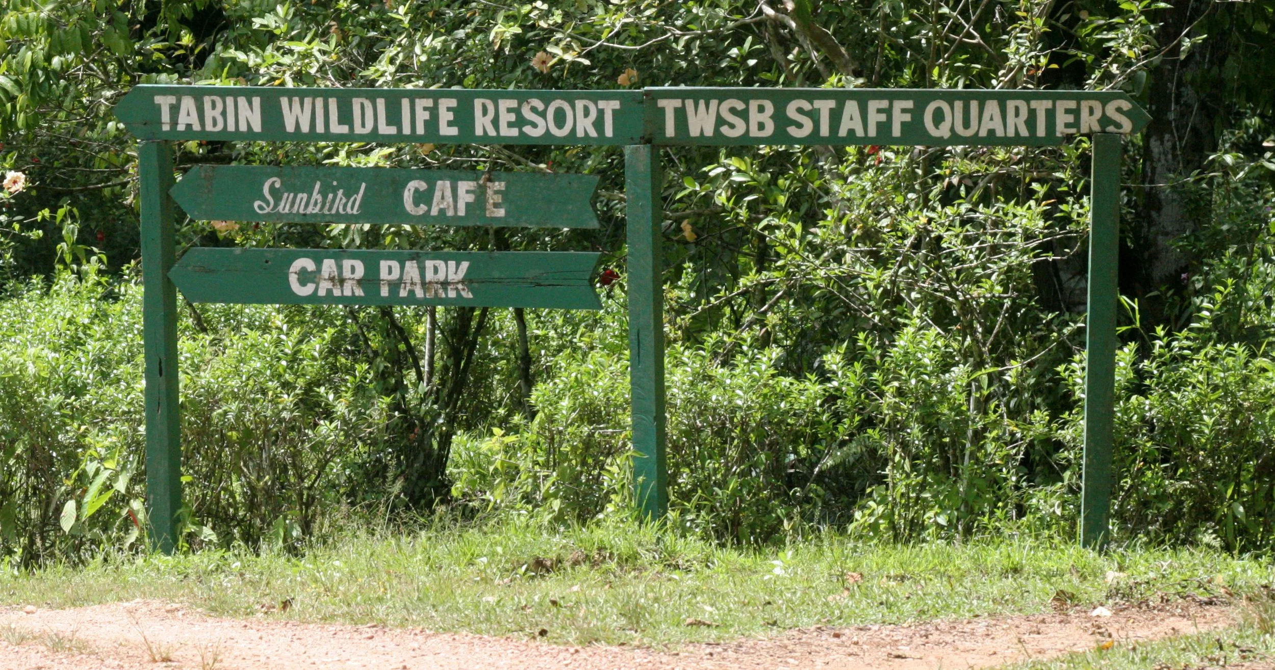 TABIN WILDLIFE RESERVE BORNEO.JPG