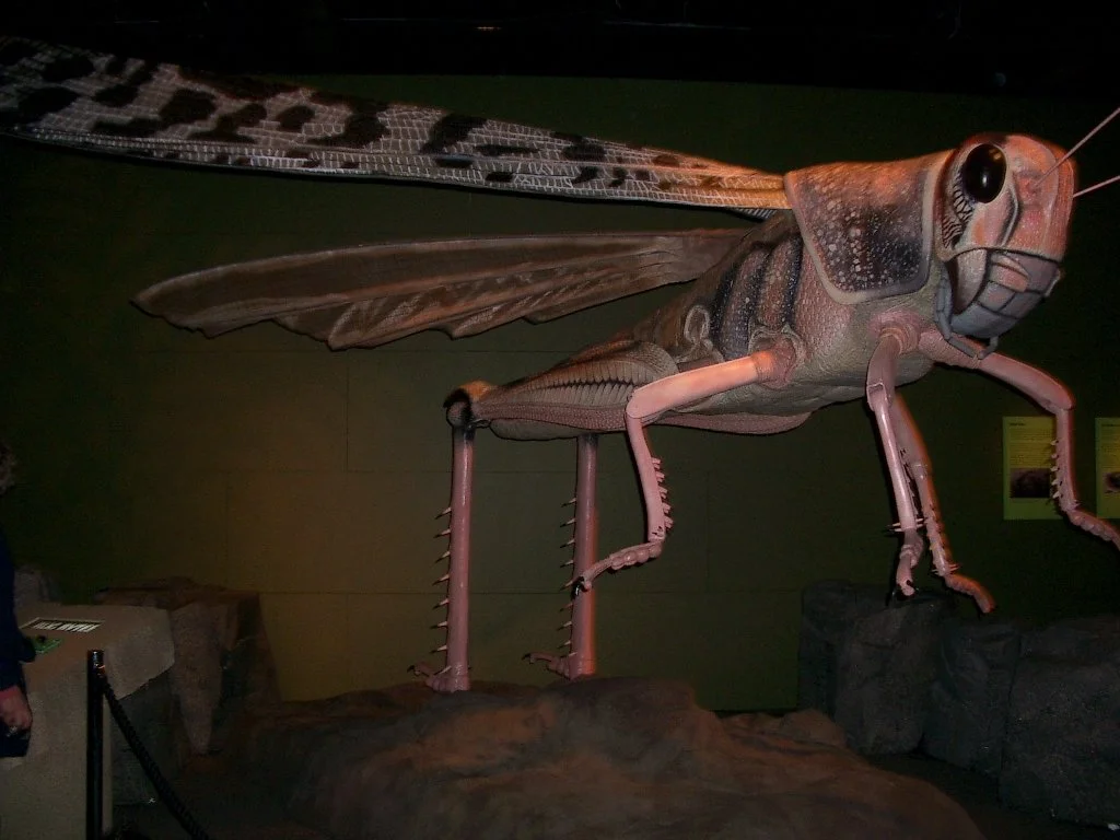 2003-11-28 DAY TRIP TO VICTORIA BC (5).JPG