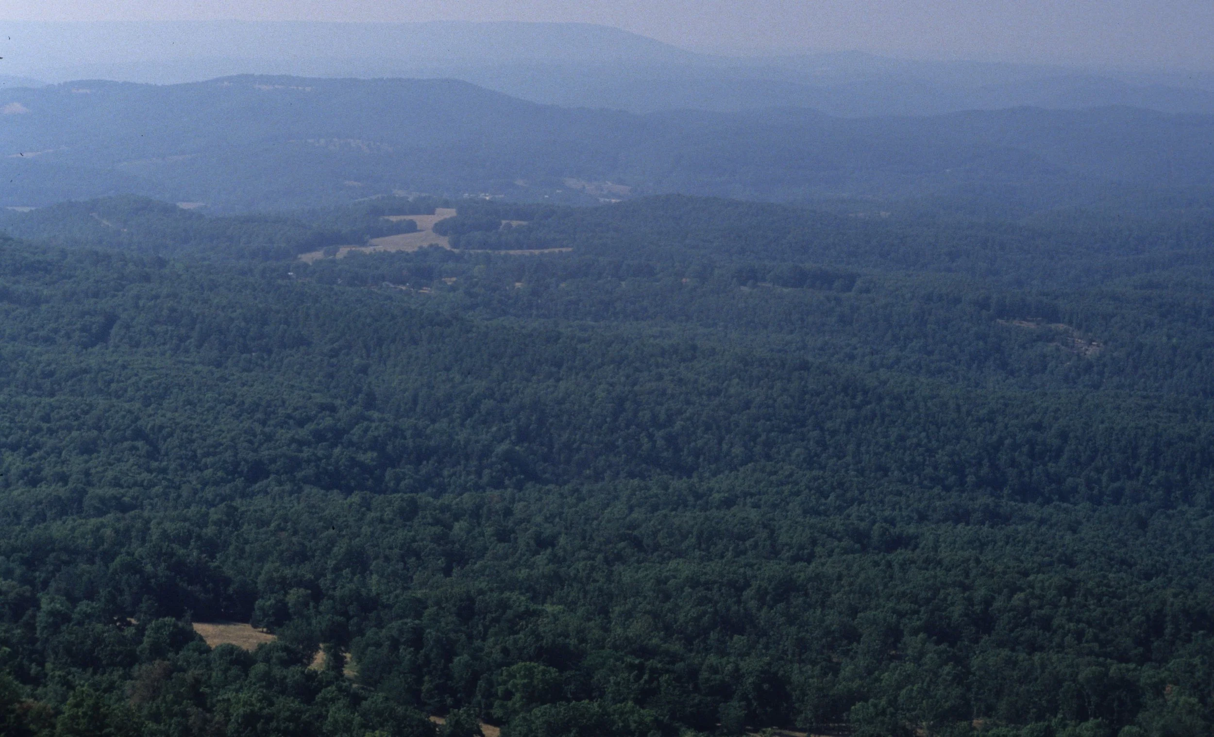 ARKANSAS - HARDWOOD FOREST COMMUNITY.jpg