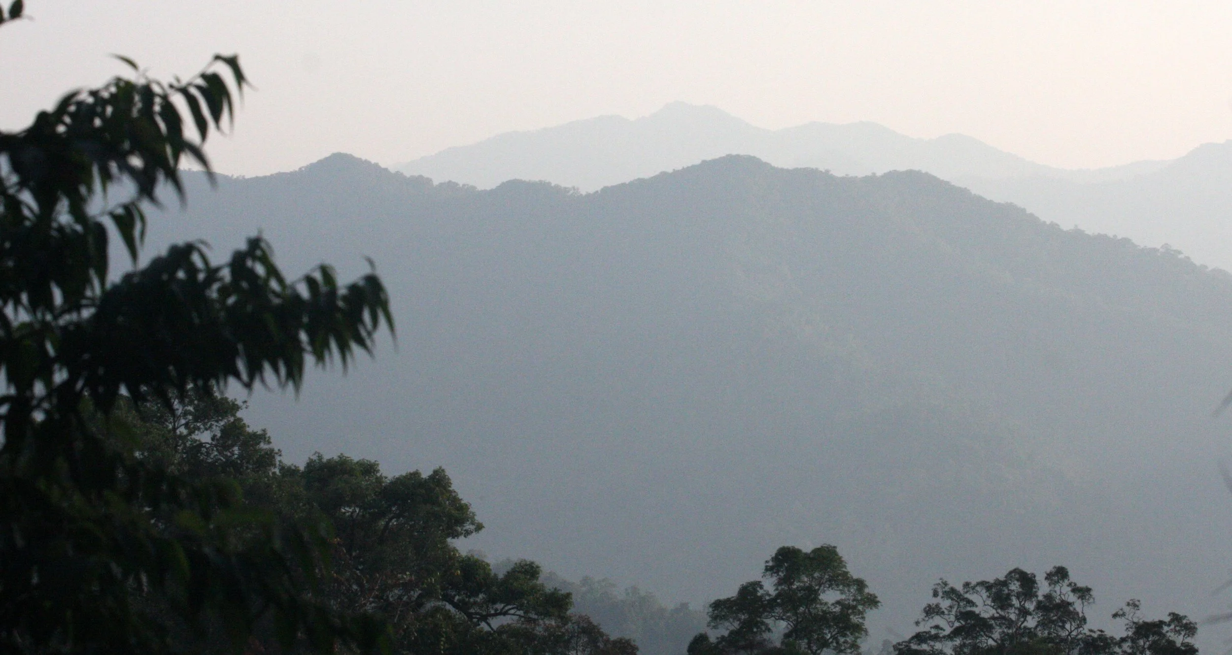 KAENG KRACHAN NATIONAL PARK THAILAND - FOREST SCENES (7).JPG