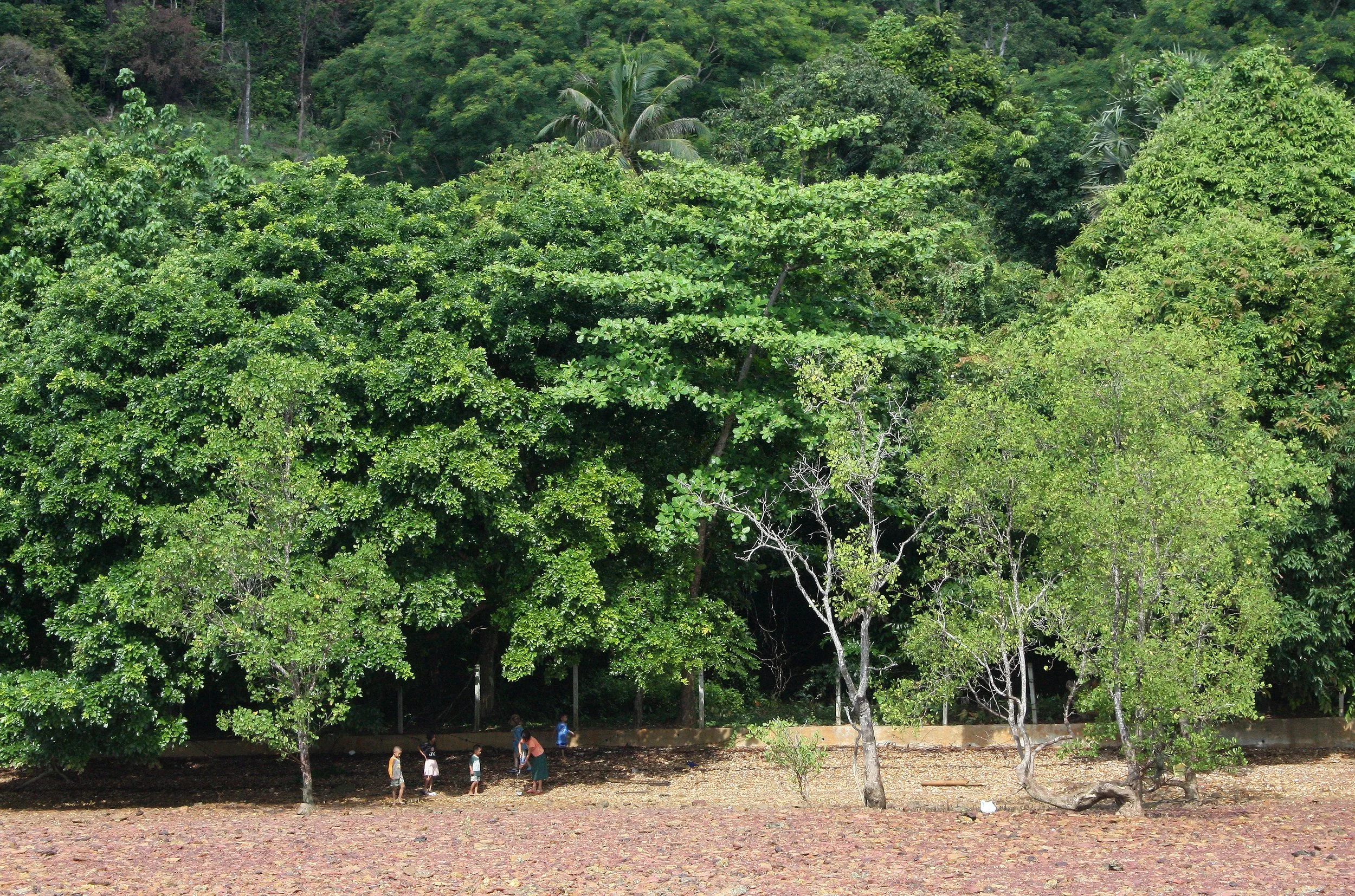 KOH LANTA - 2008 - VIEWS OF AND FROM THE PROPERTY (17).JPG
