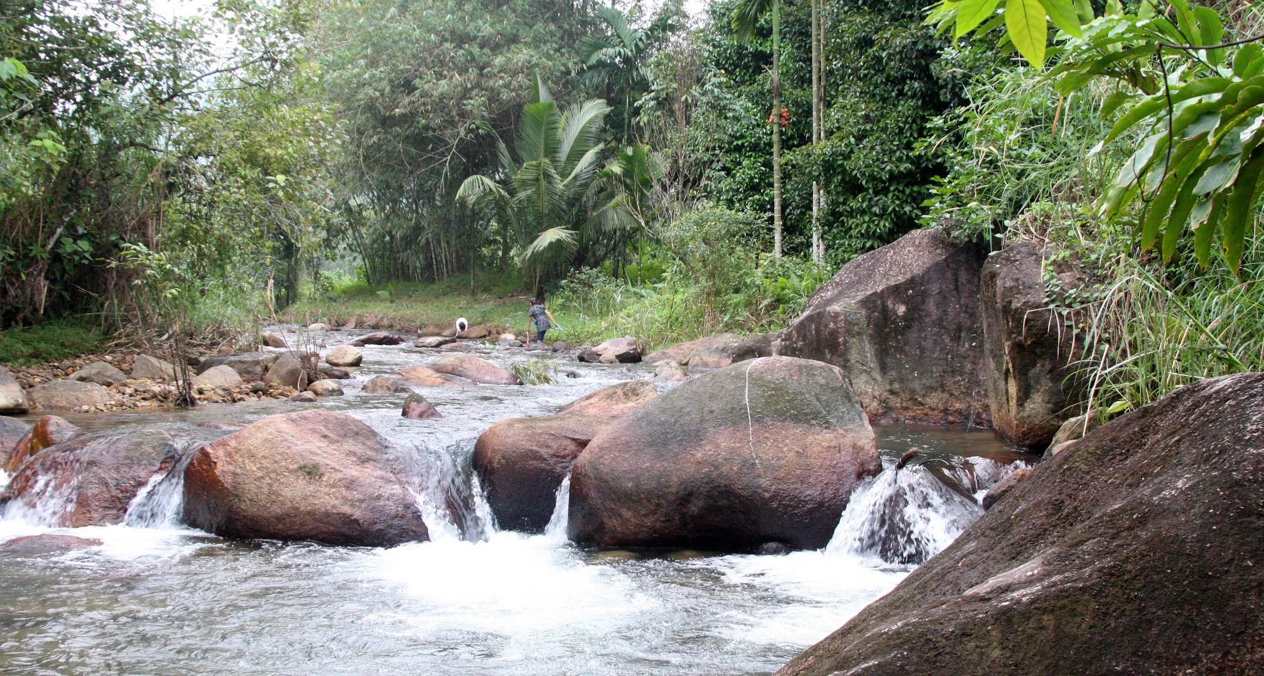 2009 Promluk Property Views (23).JPG