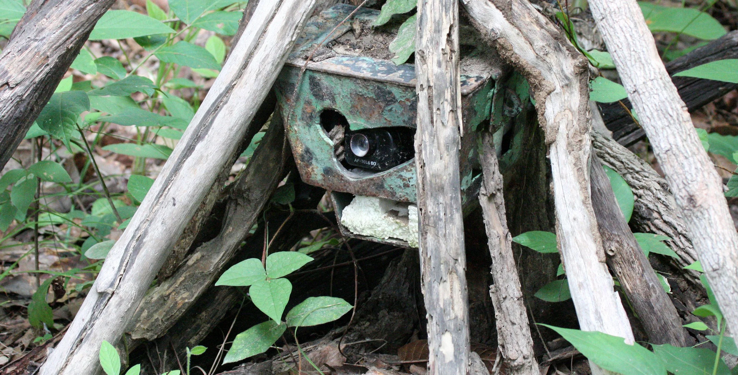 2008 Huai Kha Khaeng Road Trip - First Trip to the Park (130).JPG